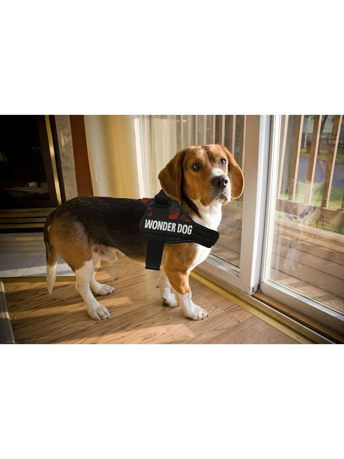 Arnés Antitirones Pechera Perro Mediano Talla M-5