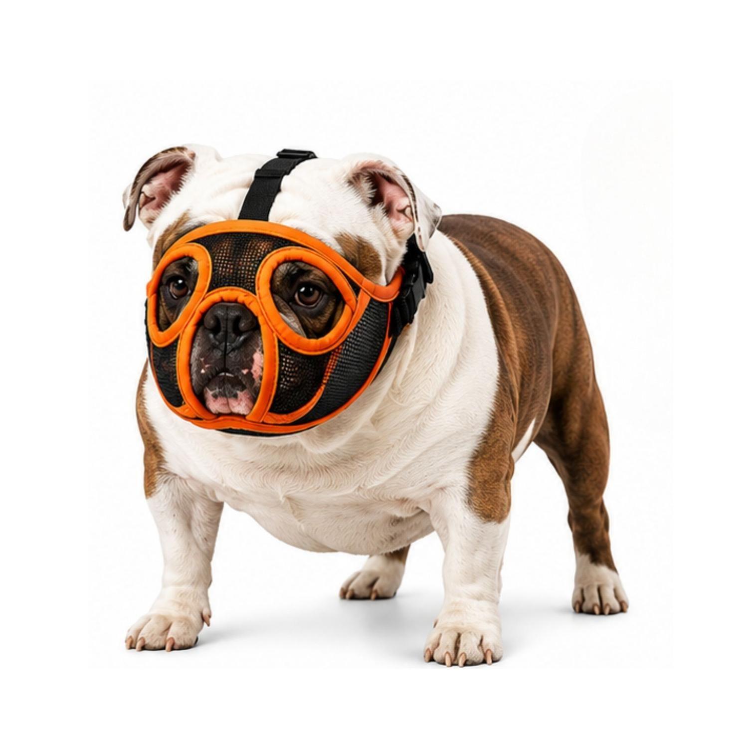 Bozal Perro Braquicéfalo XL Bulldog Inglés 22-35kg-0