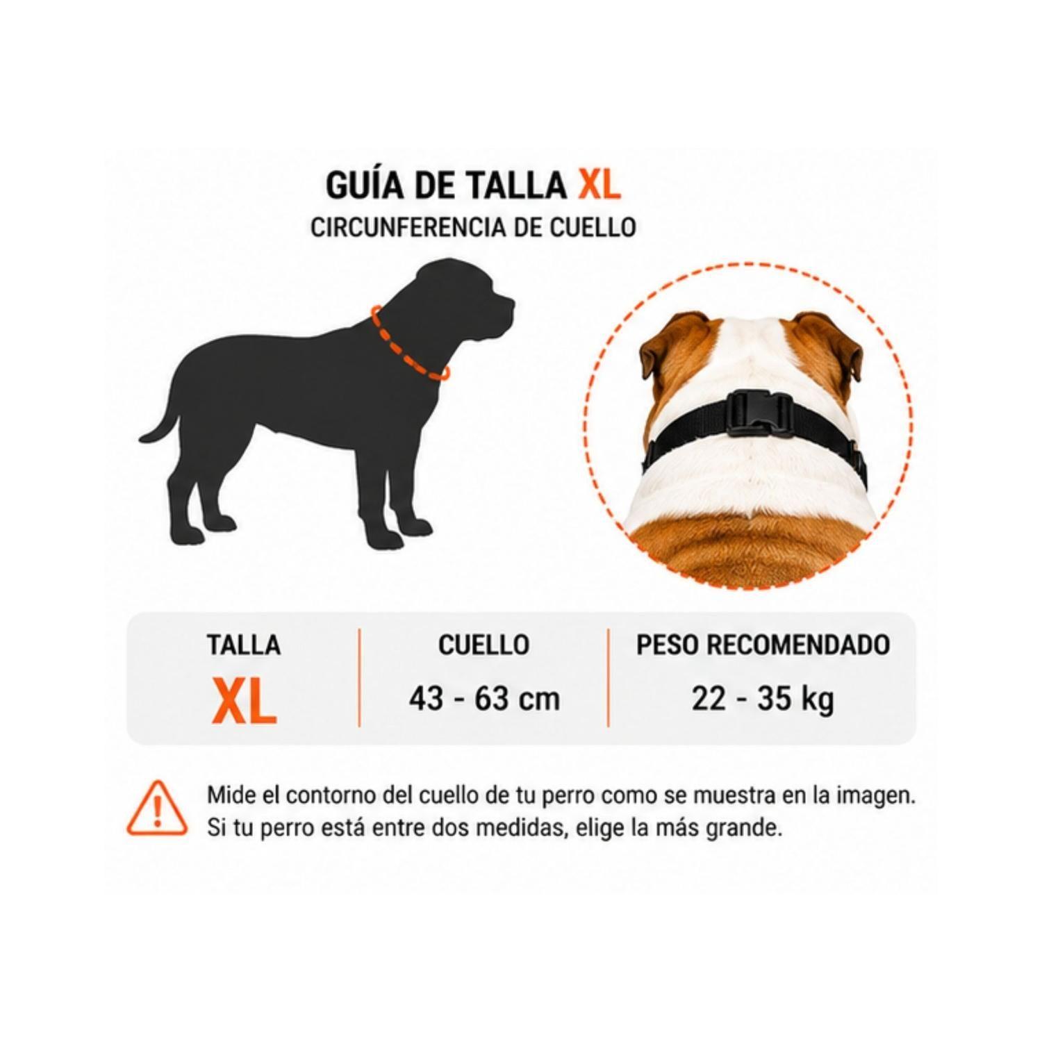 Bozal Perro Braquicéfalo XL Bulldog Inglés 22-35kg-1