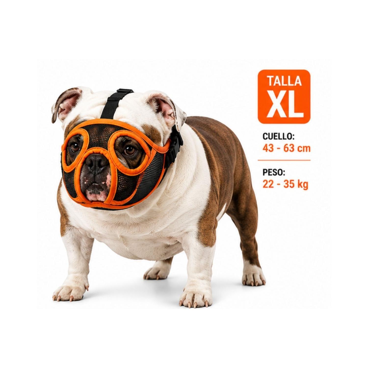 Bozal Perro Braquicéfalo XL Bulldog Inglés 22-35kg-2