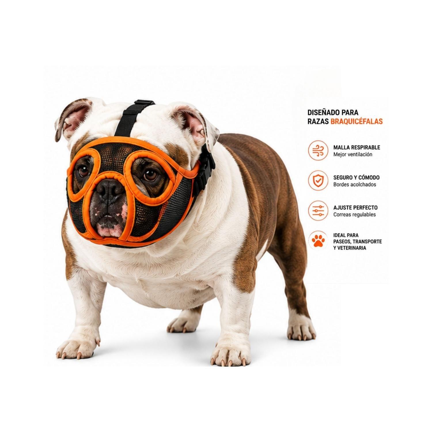 Bozal Perro Braquicéfalo XL Bulldog Inglés 22-35kg-3