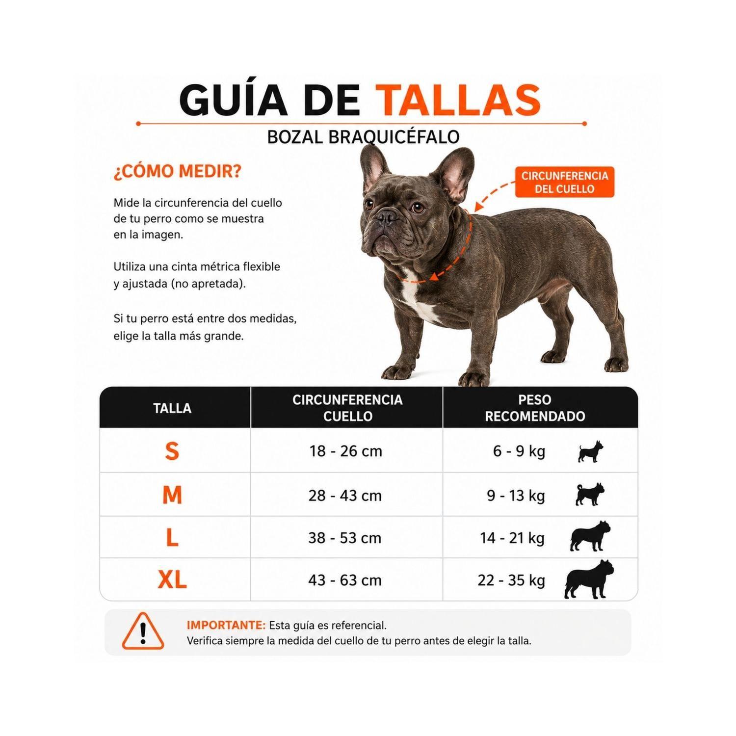 Bozal Perro Braquicéfalo XL Bulldog Inglés 22-35kg-4