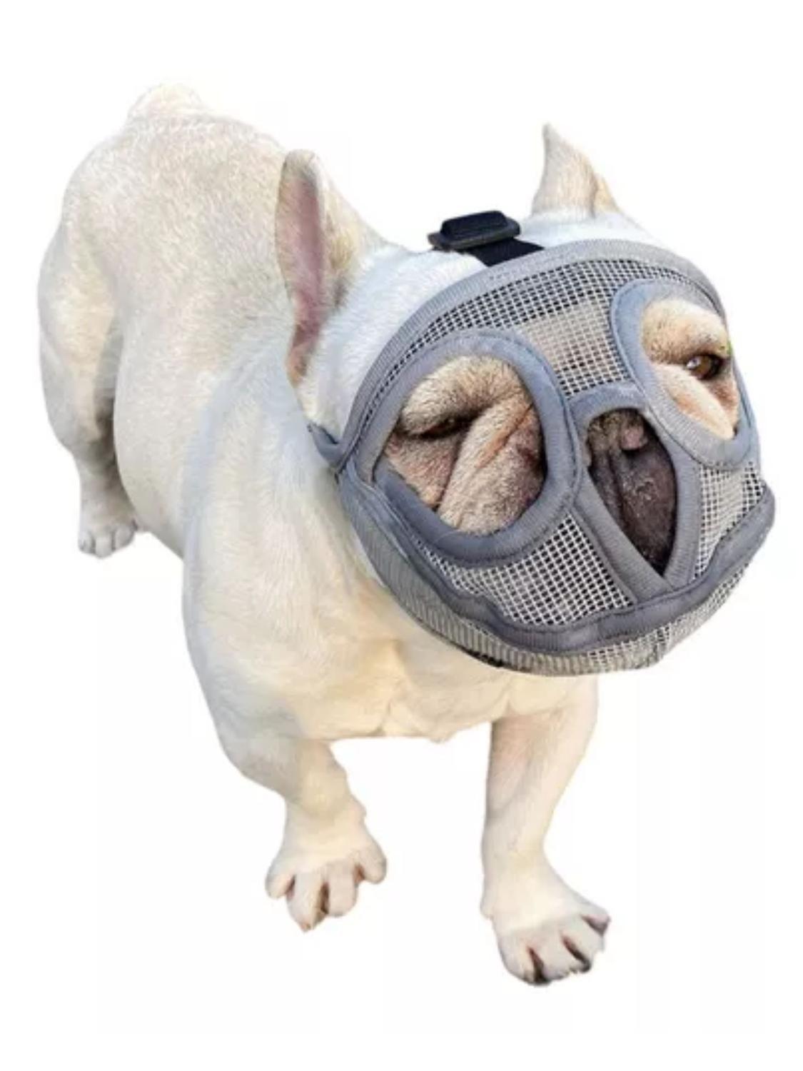 Bozal Perro Braquicéfalo XL Bulldog Inglés 22-35kg-7