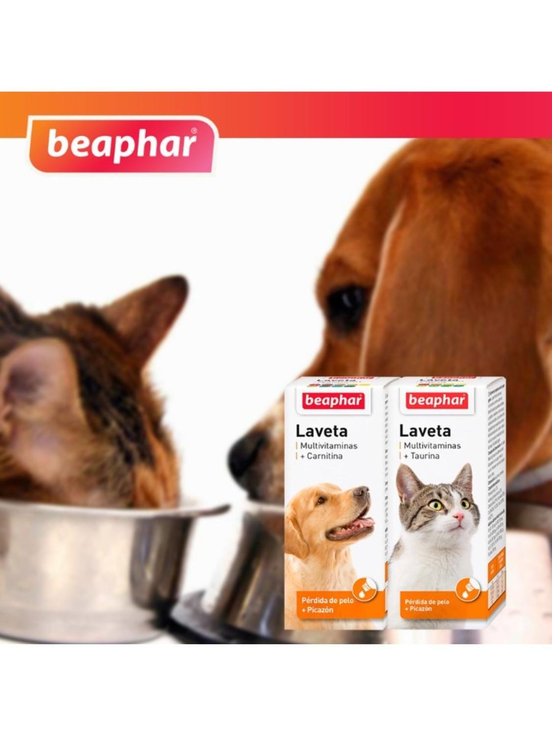Laveta + Carnitina Beaphar 50 ml | Vitaminas y Energía-2