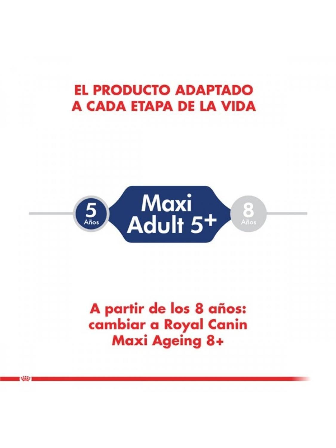 Royal Canin Maxi Ageing 5+ Adulto 12 kg | Perros Grandes-3
