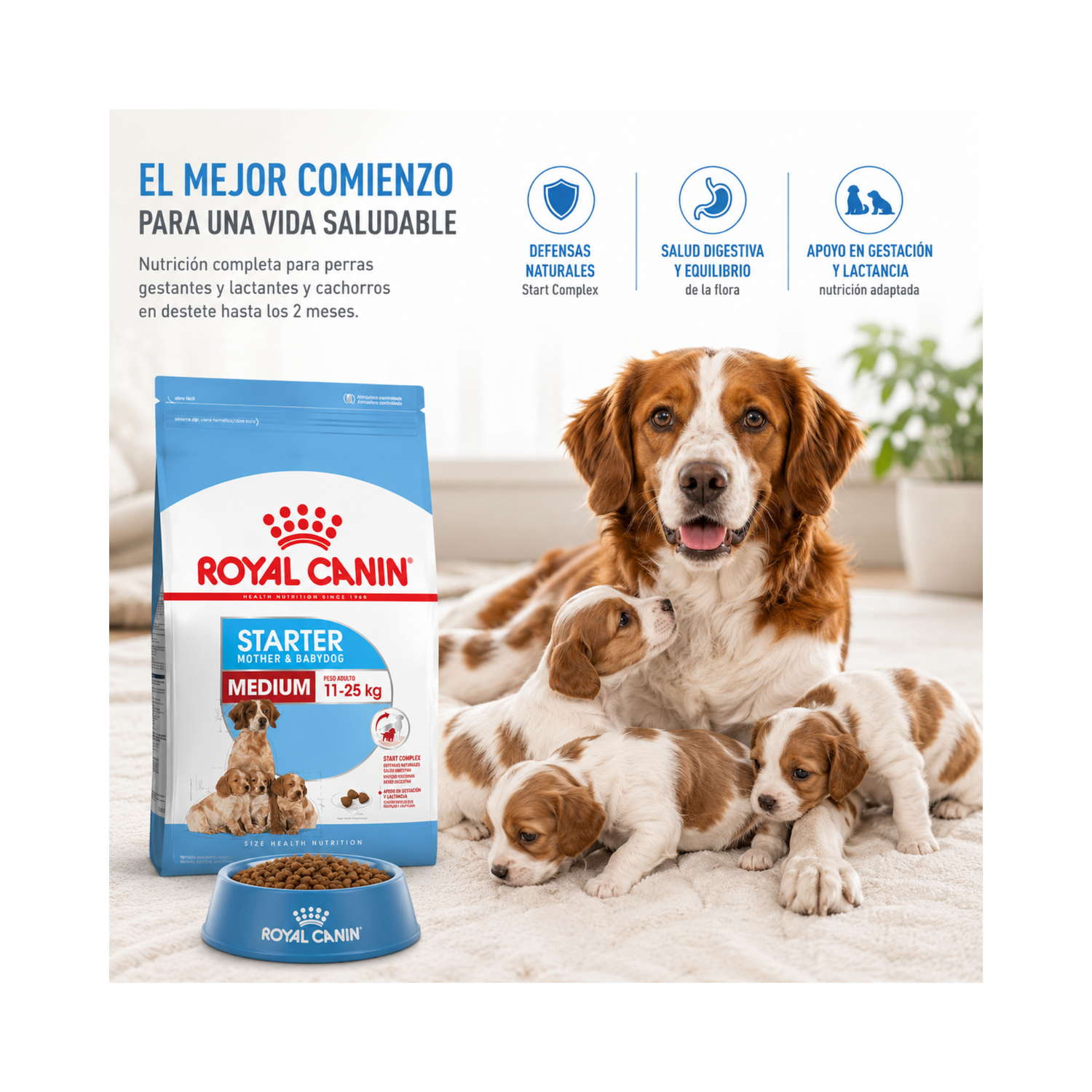 Royal Canin Size Medium Starter 3 kg-5