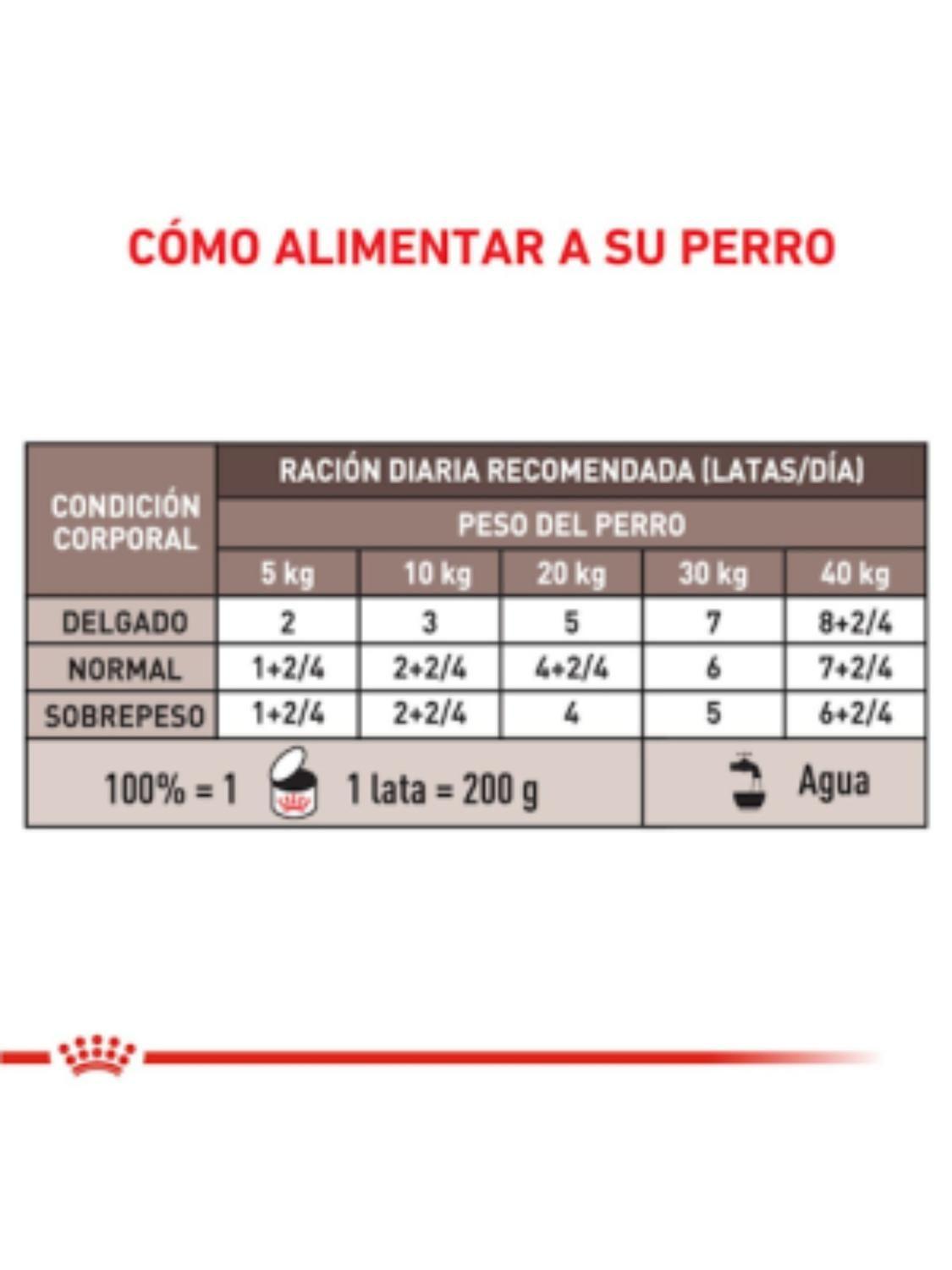 Alimento Royal GASTROINTESTINAL CANINE PUPPY Lata 195 Gr-1