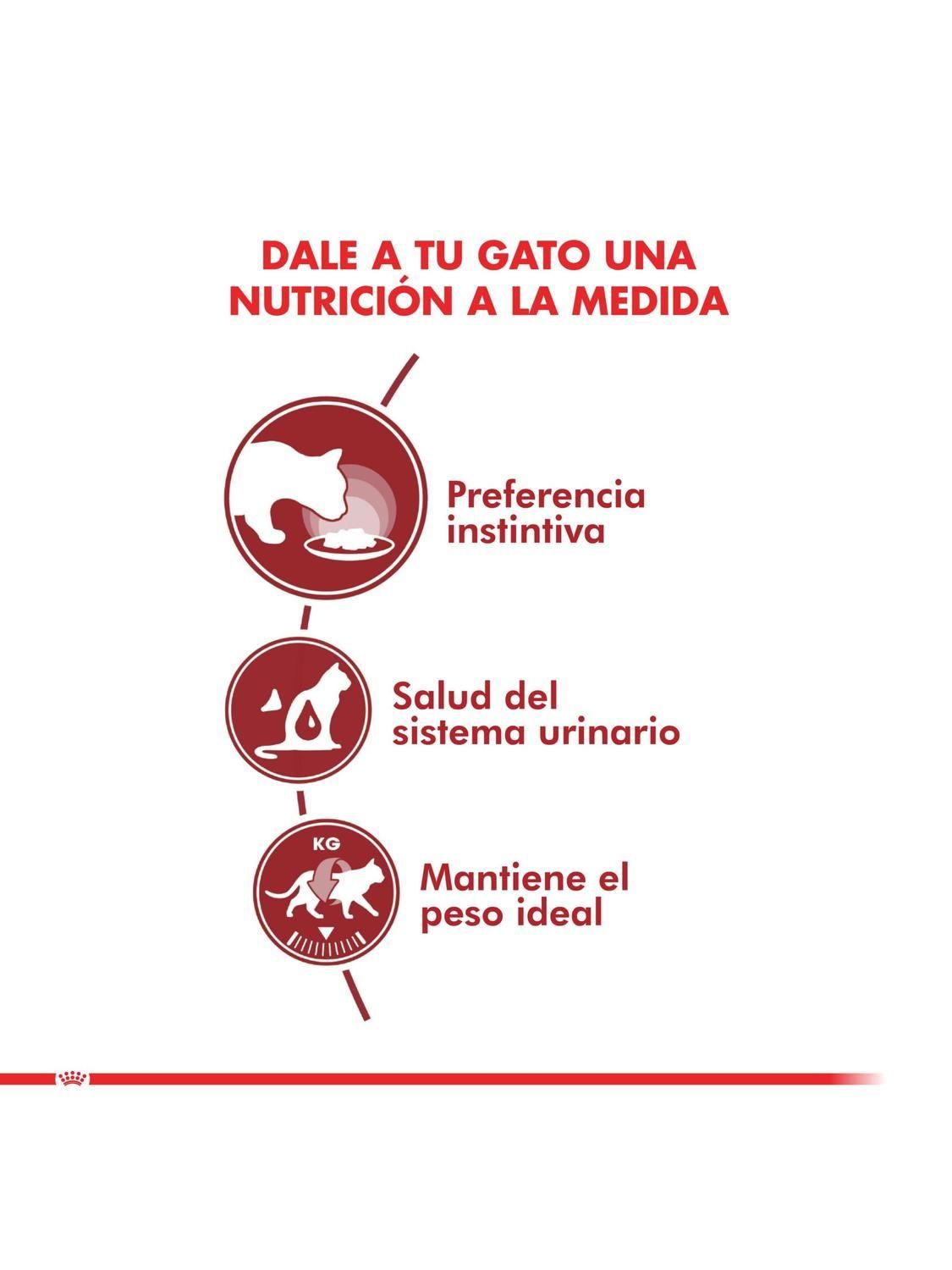 Alimentos Royal Canin pouch ADULT INSTINCTIVE Gato 85g (12 unidades)-2