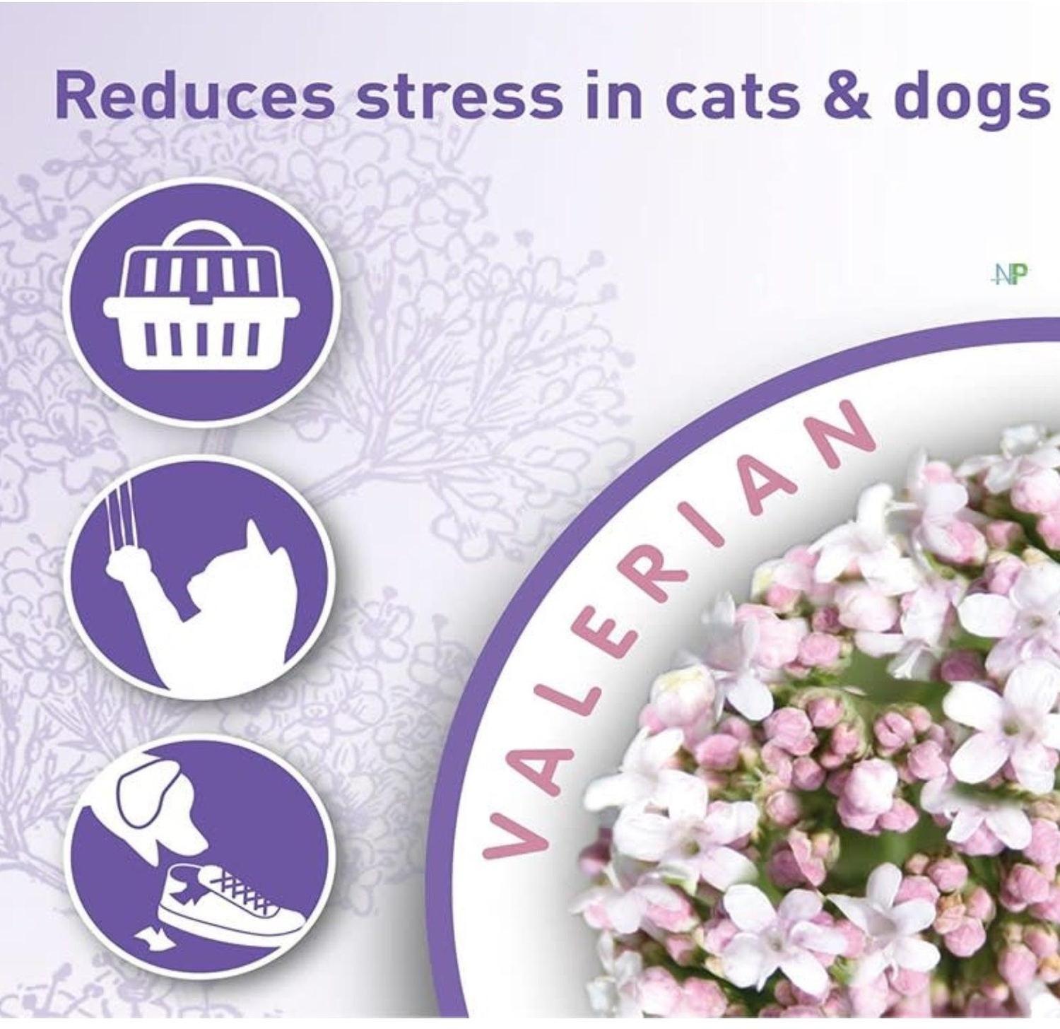 Beaphar Calming Spray 125 ml | Calmante Perros y Gatos-3