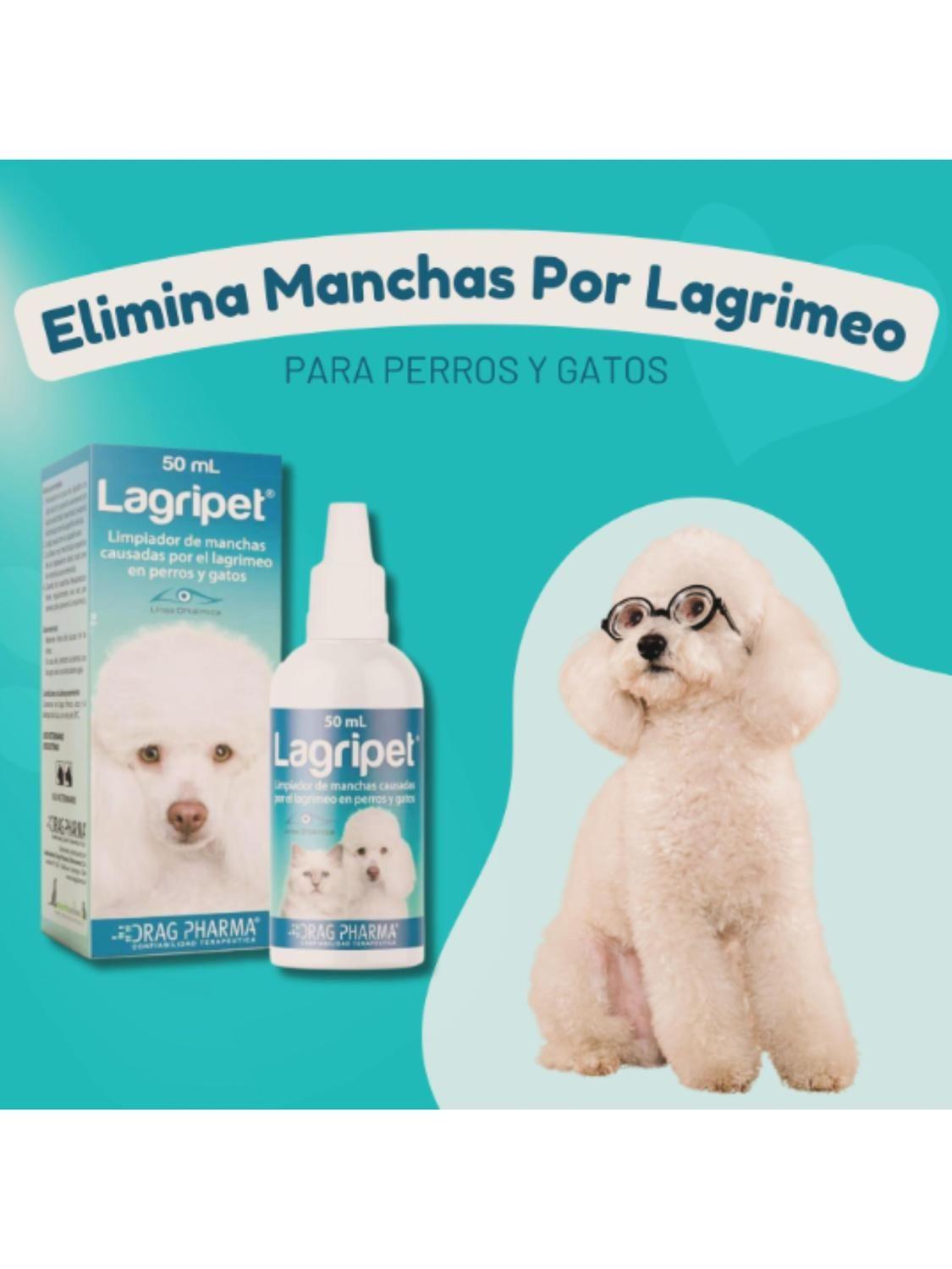 Lagripet 50 ml – Limpiador de Lágrimas Drag Pharma-2