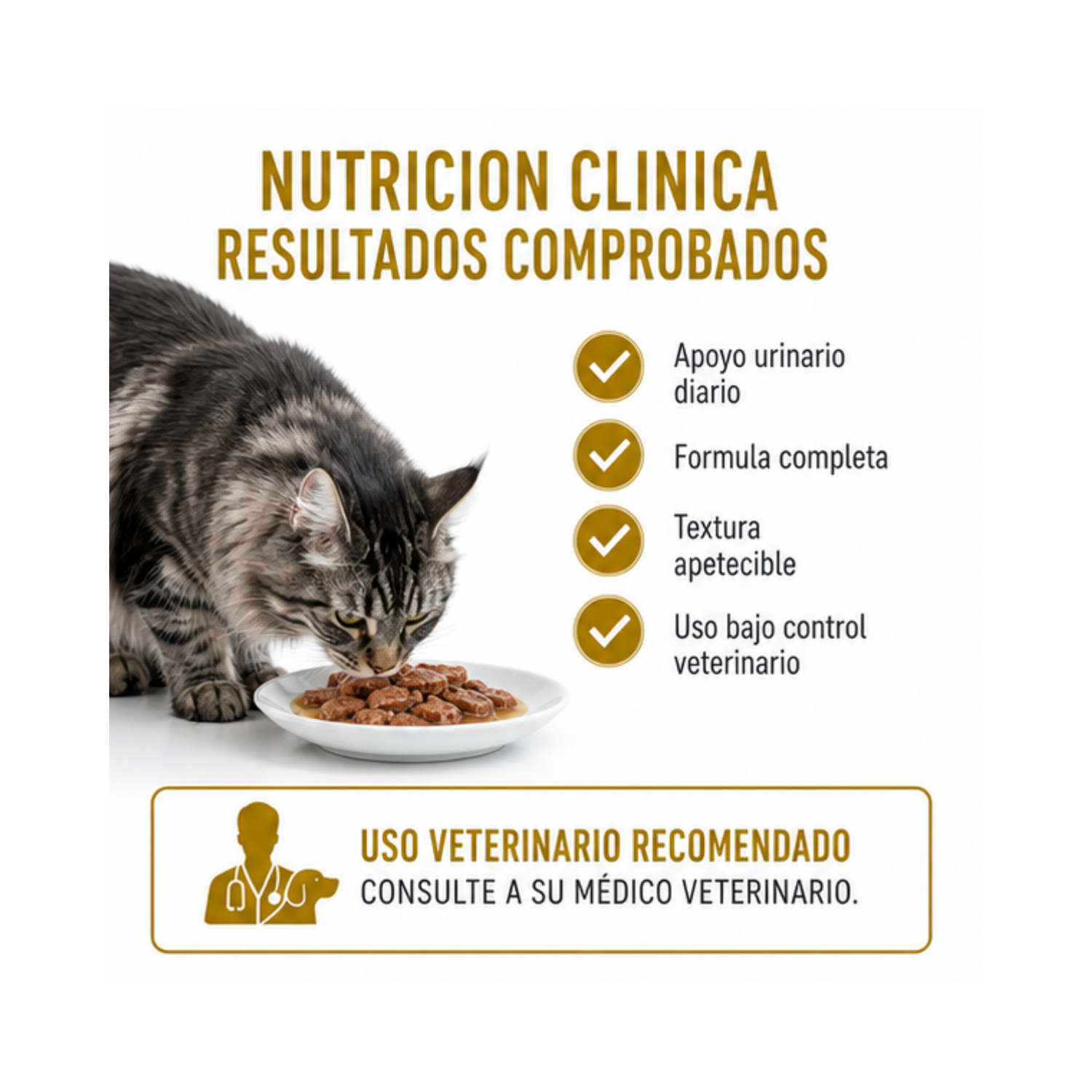 Royal Canin Pouch Urinary S/o Gato 85g (12 Unidades) | Pack 12 Sobres-2