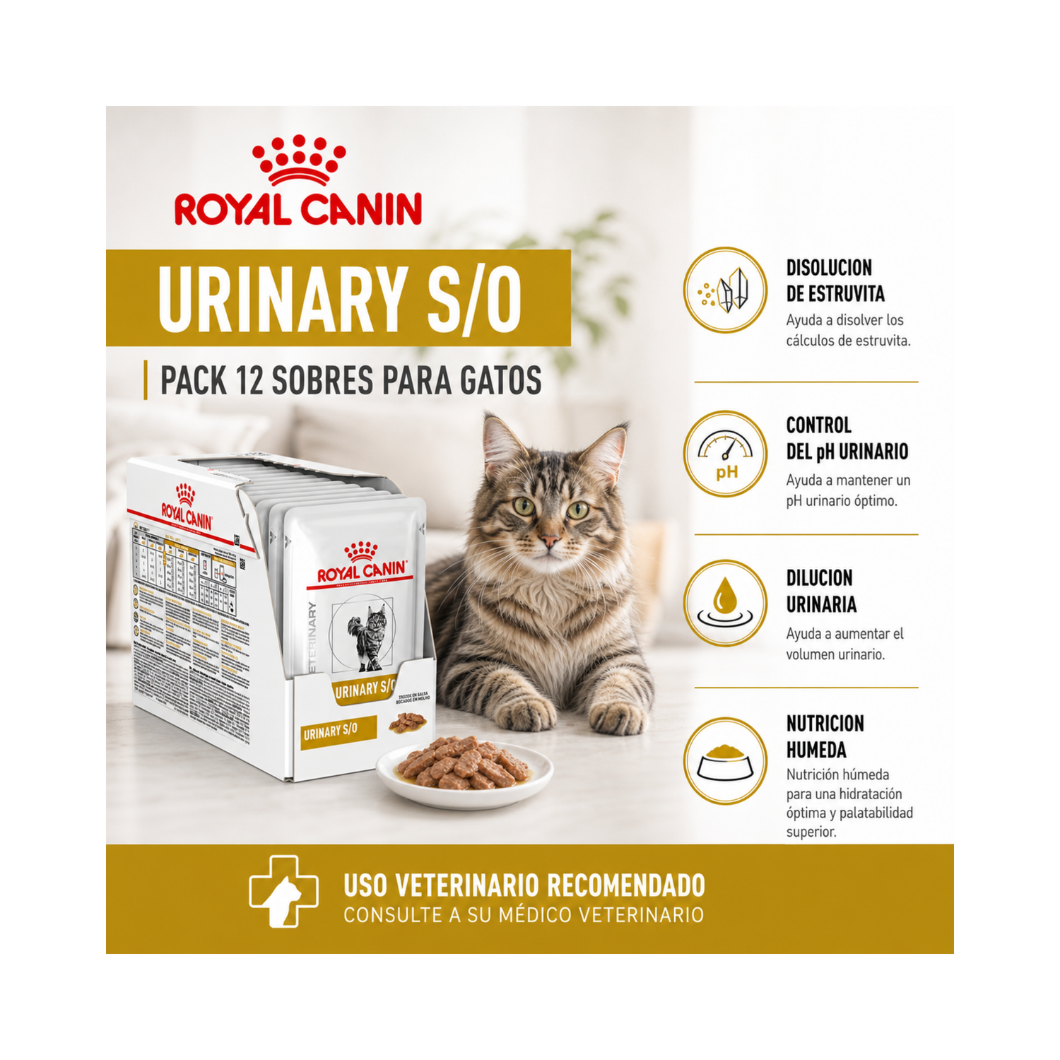 Royal Canin Pouch Urinary S/o Gato 85g (12 Unidades) | Pack 12 Sobres-5
