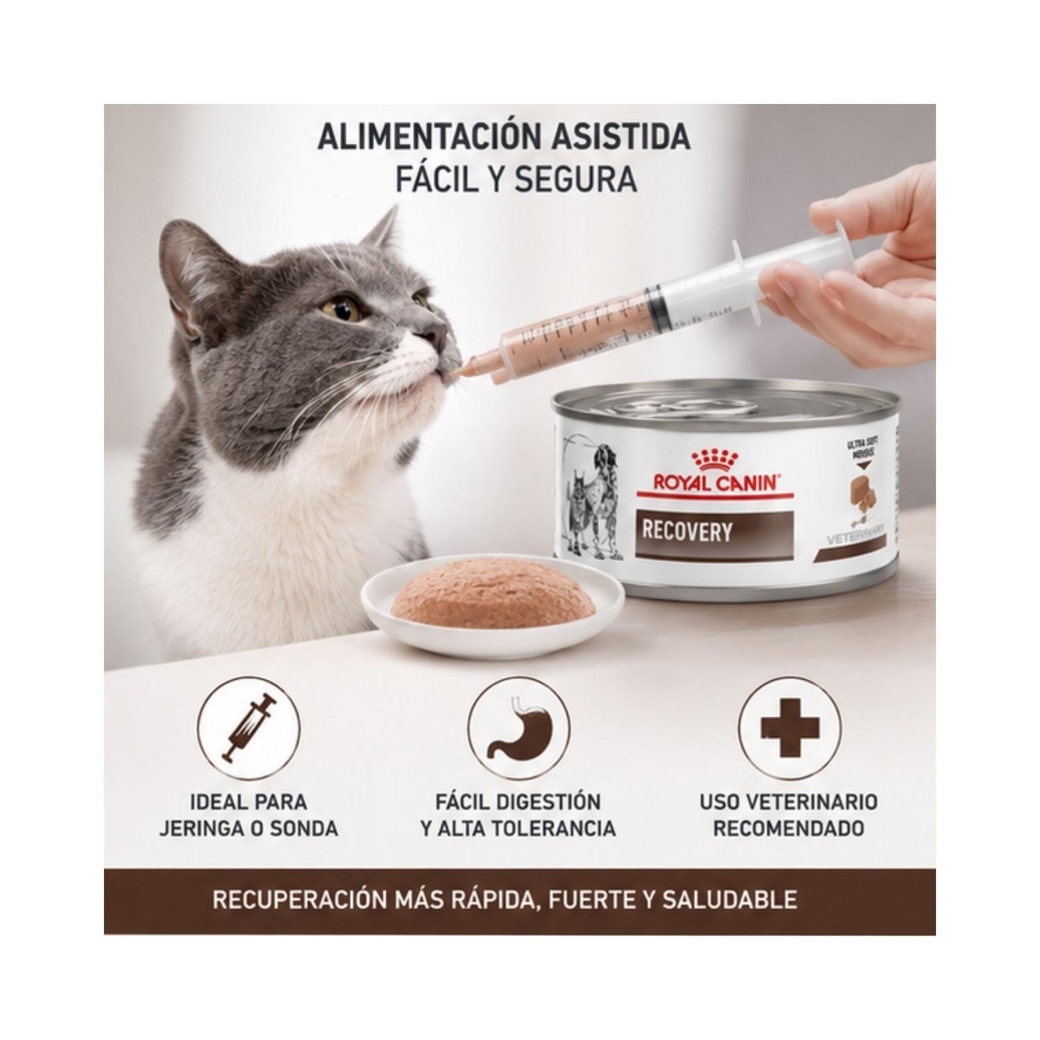 Royal Canin Recovery 145g Perro Gato Pack 24 Latas-3