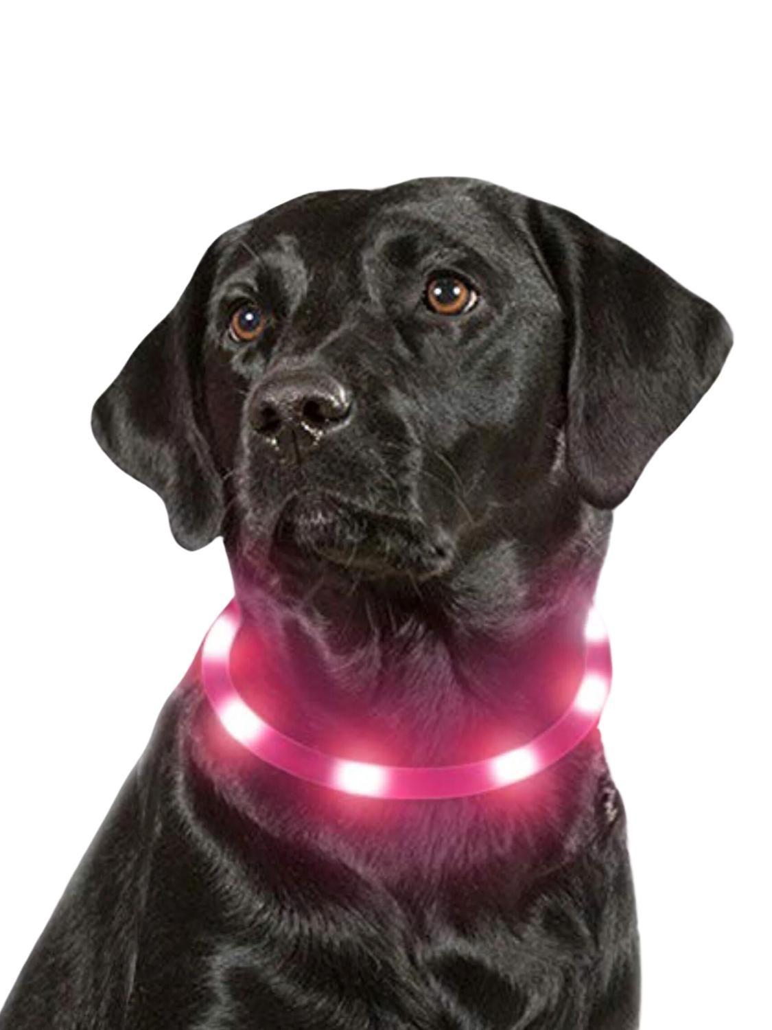Collar Para Perro Luz Led Carga Usb Talla M 55cm-1