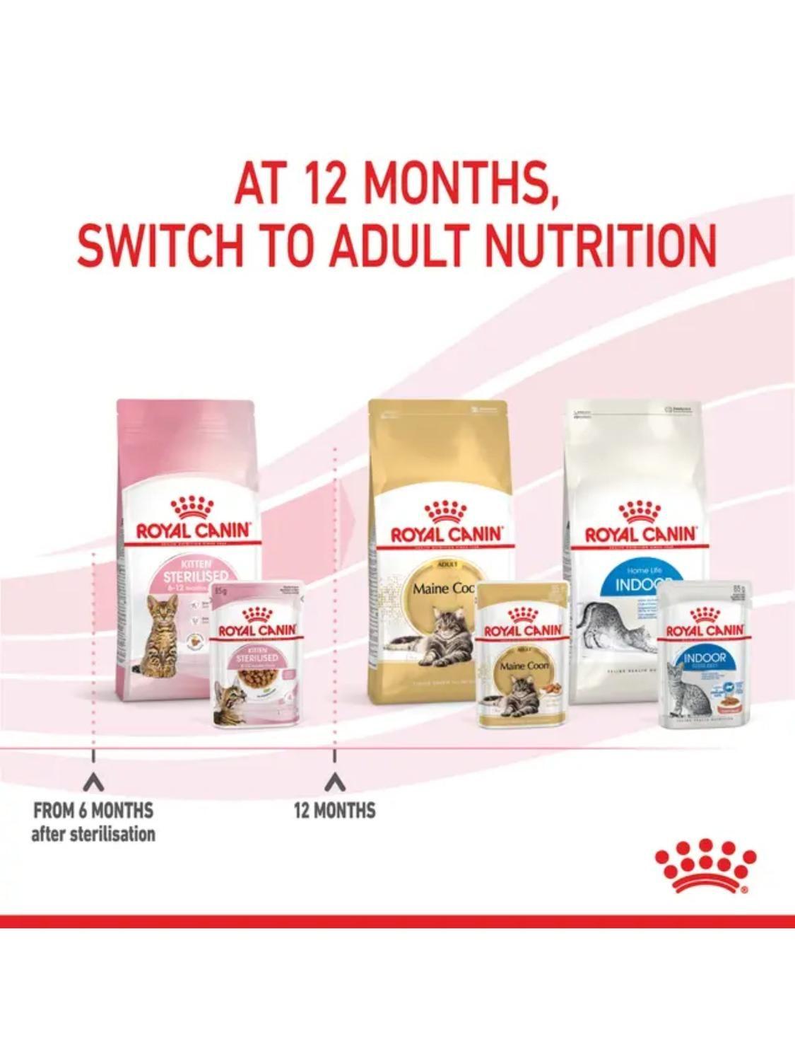 Royal Canin Kitten Sterilised Pouch 85g Pack 12 Gatos-4