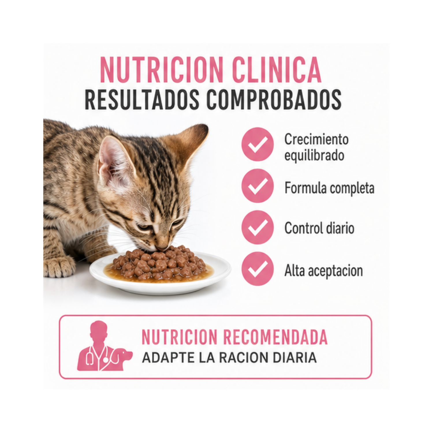 Royal Canin Kitten Sterilised Pouch 85g Gatos | Pack 12 Sobres-3
