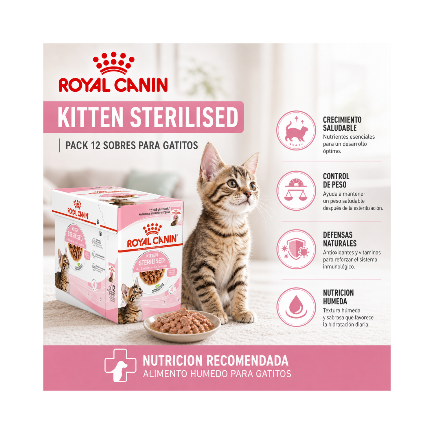 Royal Canin Kitten Sterilised Pouch 85g Gatos | Pack 12 Sobres-5