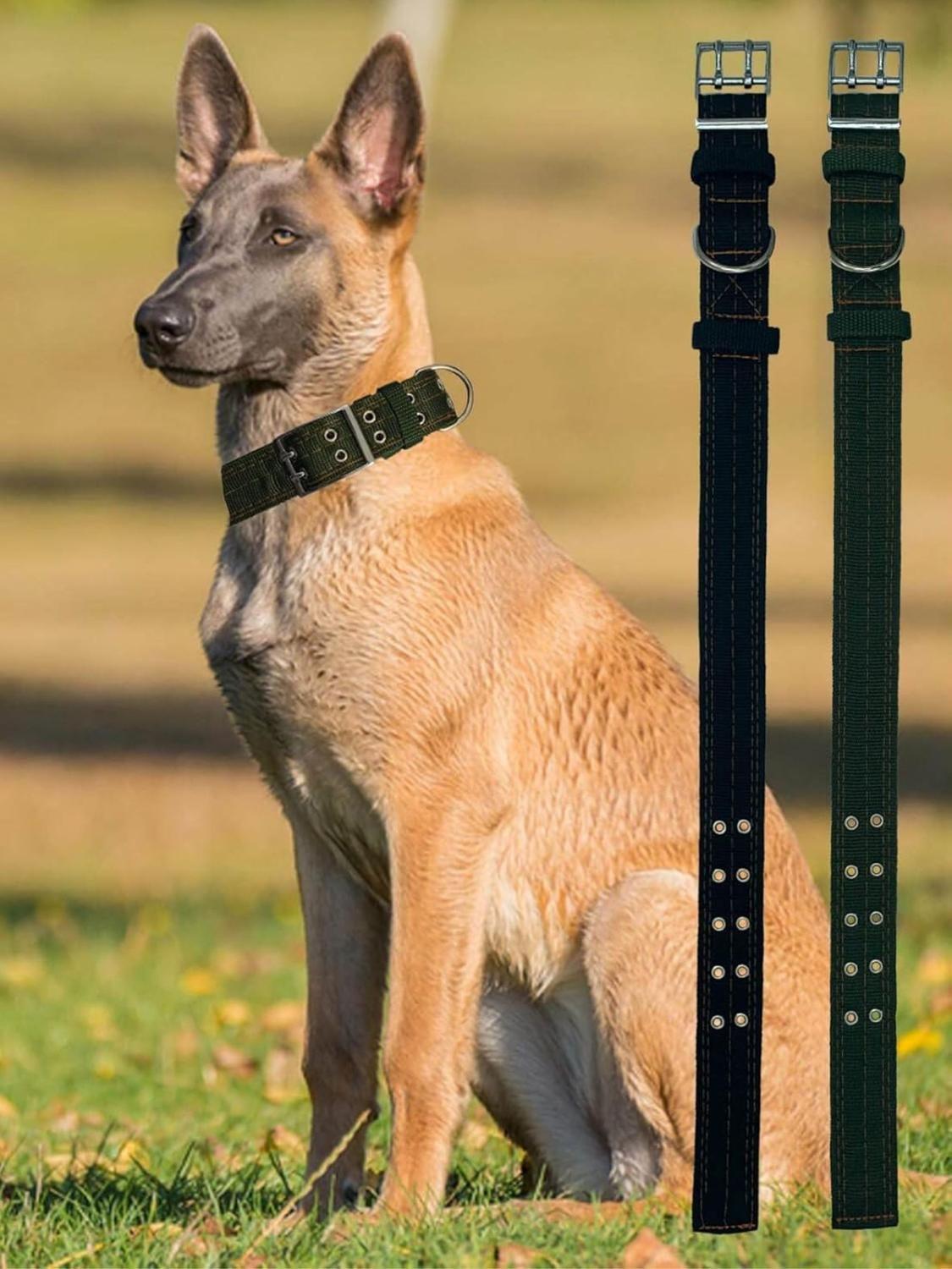 Collar de Fibra XL 4x68cm con Hebilla Metálica-2