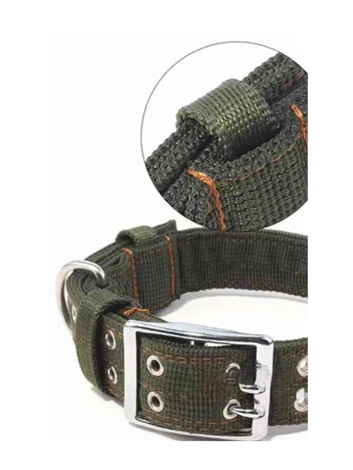 Collar de Fibra XL 4x68cm con Hebilla Metálica-6