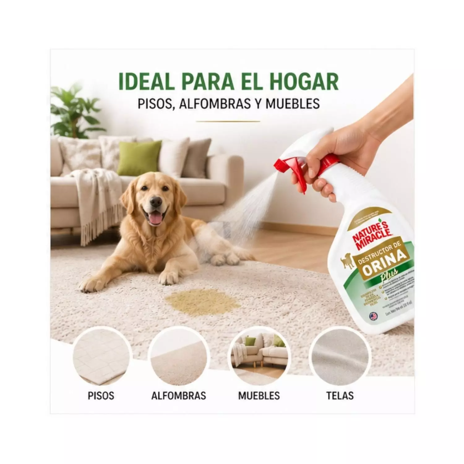 Imagen de producto
