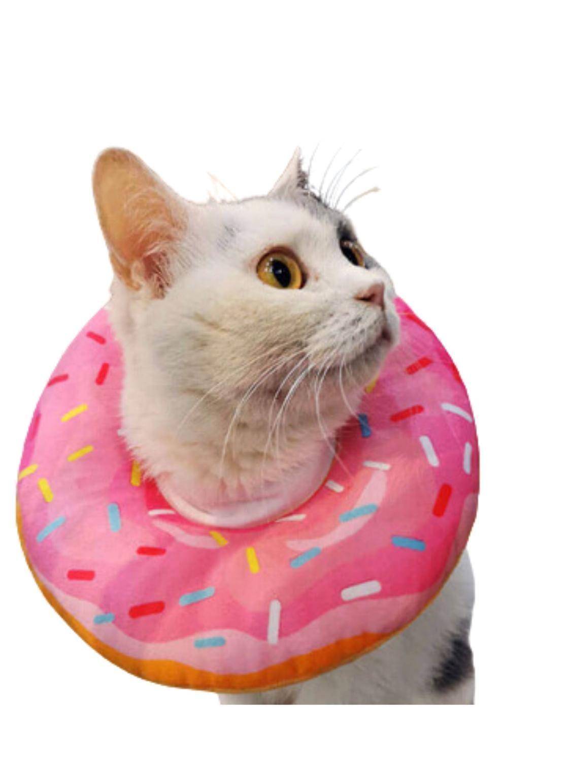 Collar Dona Para Mascotas Anti-lamido Talla S-0