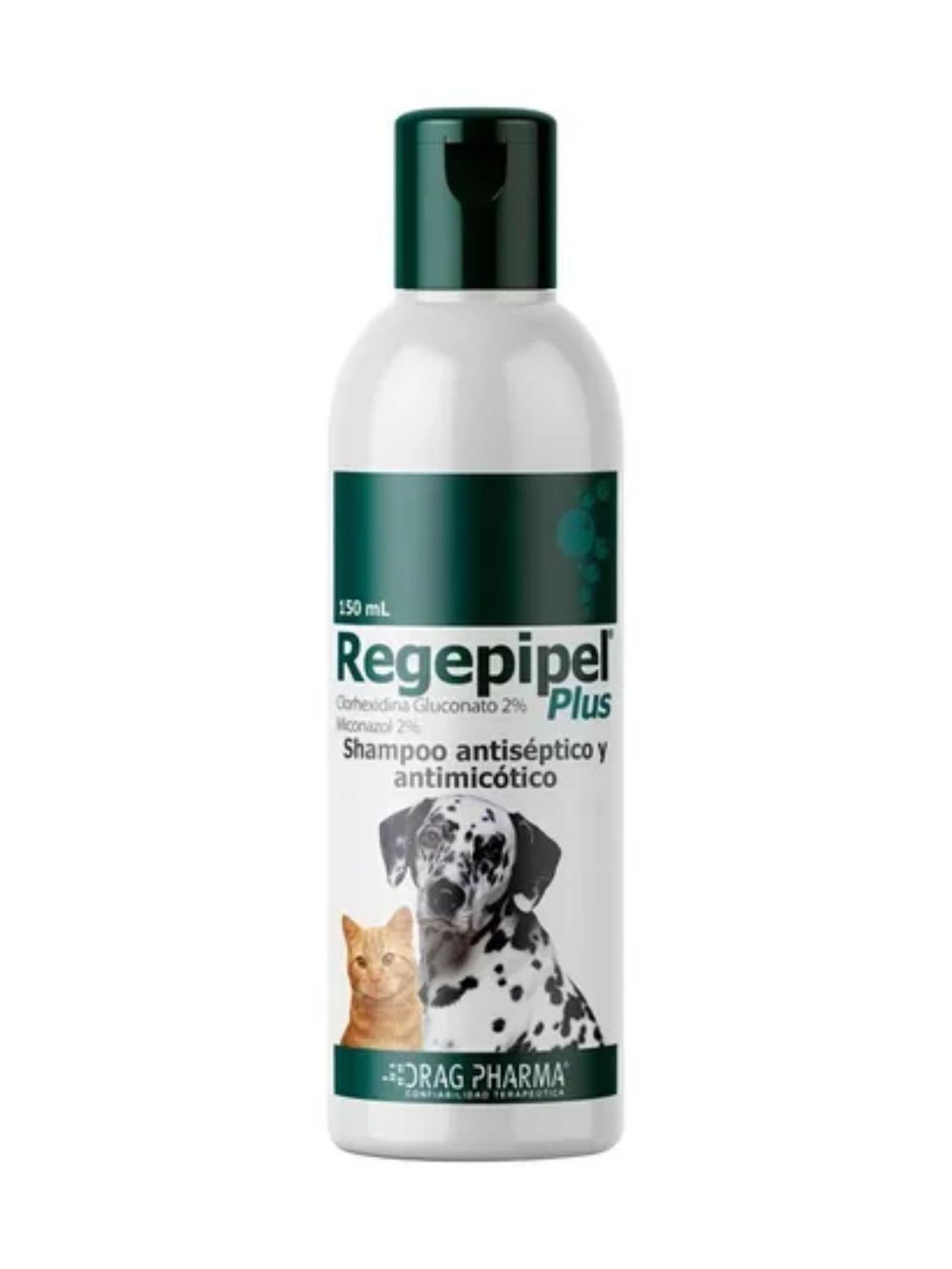 Shampoo Regepipel 150ml Antiséptico Y Antimicótico-0