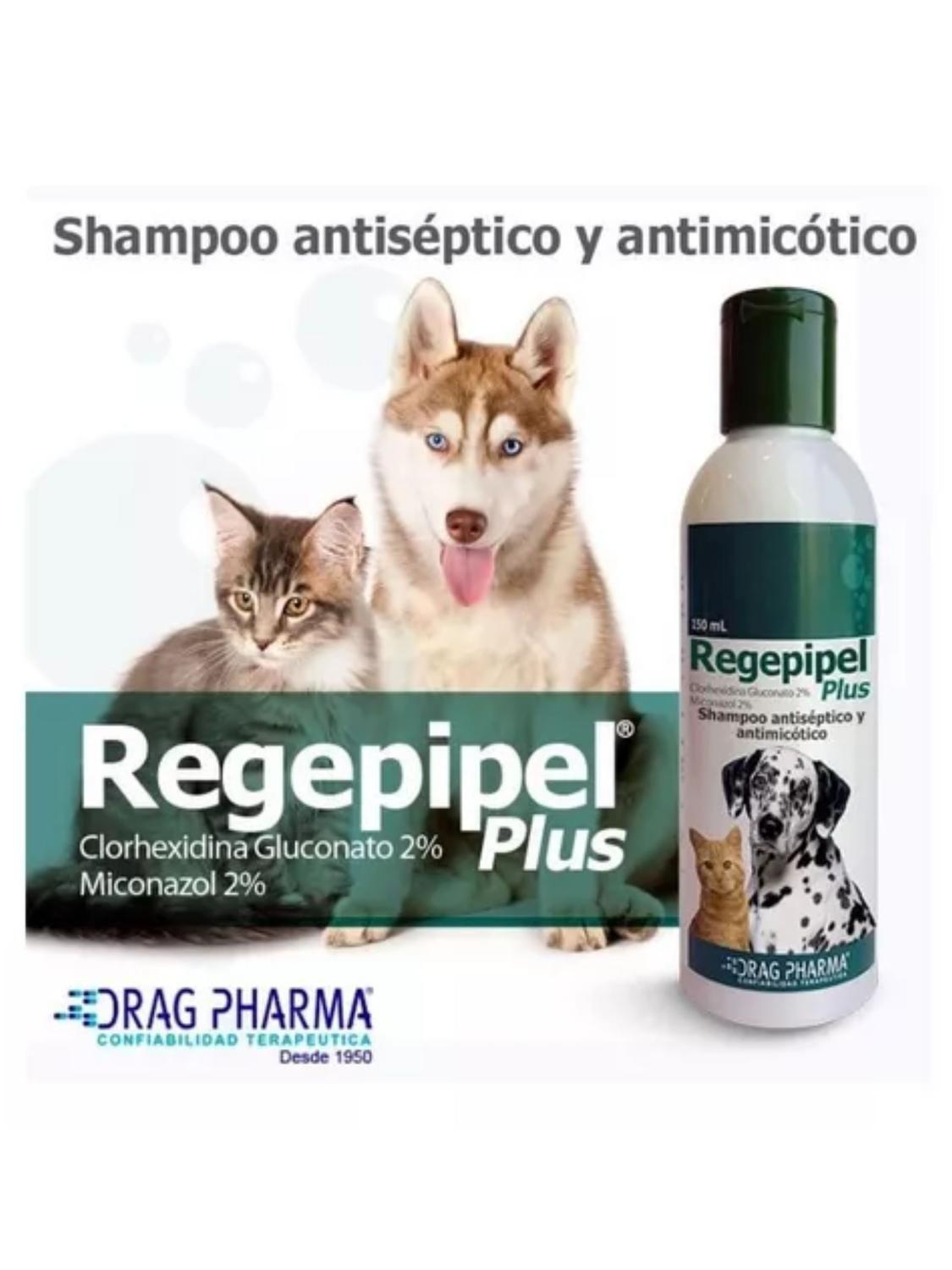 Shampoo Regepipel 150ml Antiséptico Y Antimicótico-1