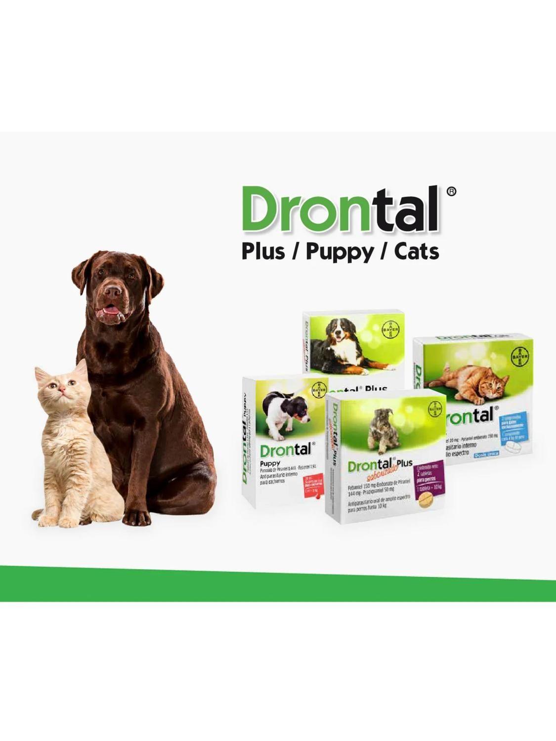 Antiparasitario Interno Drontal Plus Hasta 10 KG 2 Comp-1