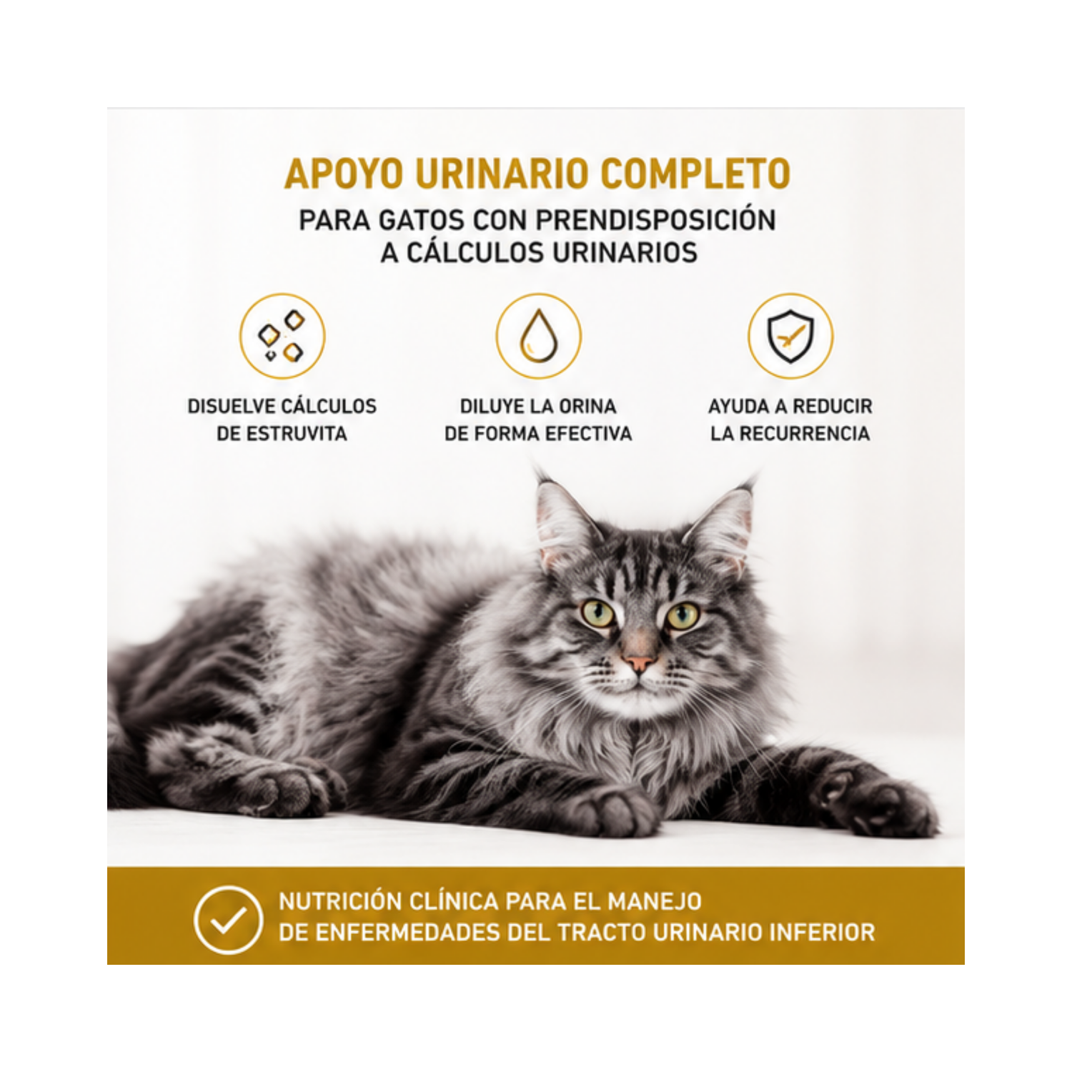 Royal Canin Urinary S/o Gatos Lata 145gr | Pack 6 Latas-2
