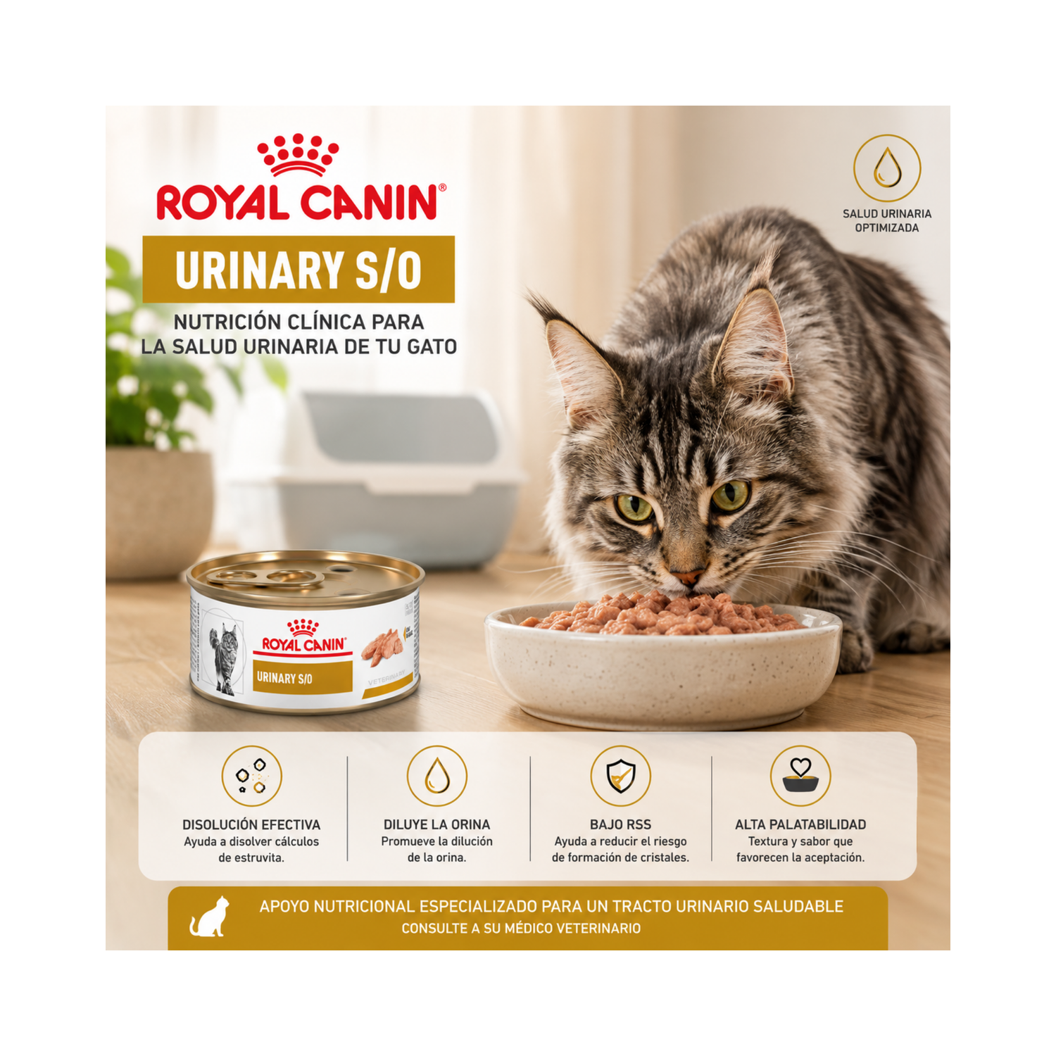 Royal Canin Urinary S/o Gatos Lata 145gr | Pack 6 Latas-4
