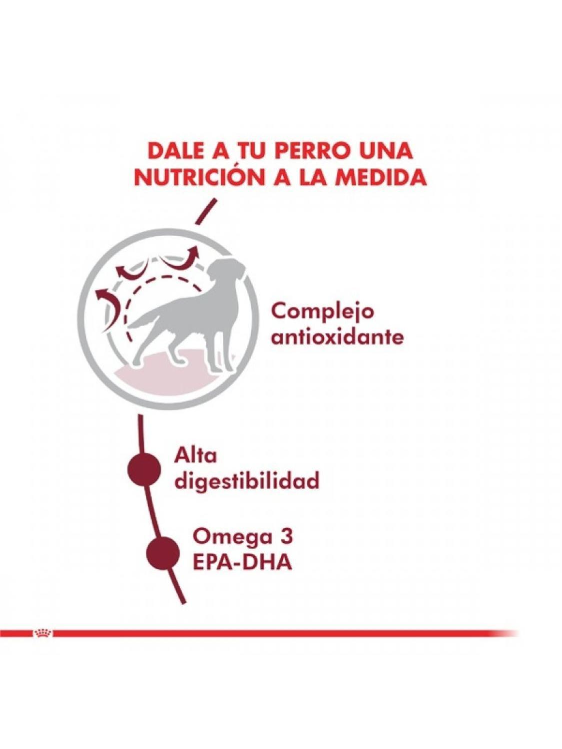 Royal Canin Medium Adulto 12 kg | Perros Medianos Adultos-2