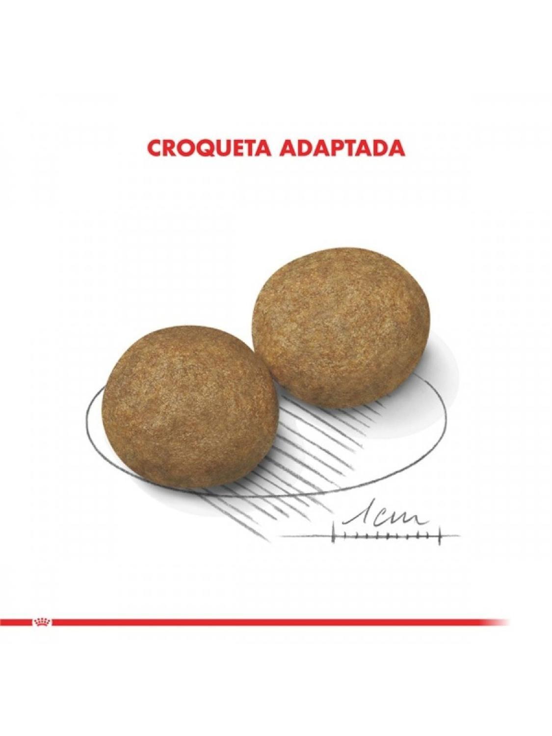 Royal Canin Medium Adulto 12 kg | Perros Medianos Adultos-5