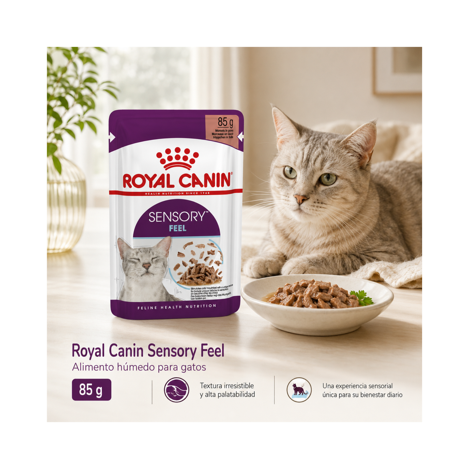 Royal Canin Sensory Feel Gato Sobre 85g - Alimento Húmedo-5