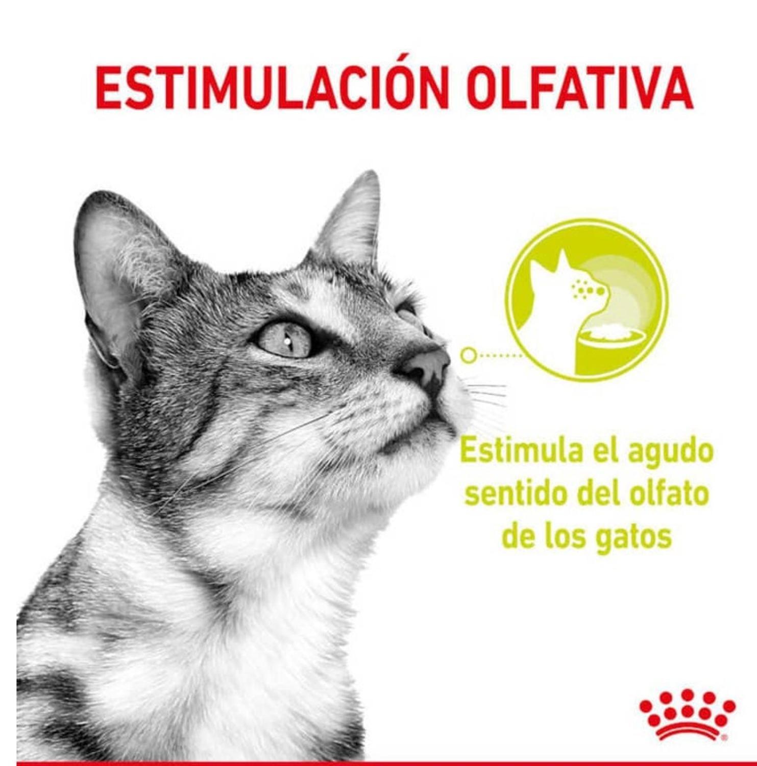 Royal Canin Feline Sensory Smell - Sobre 85 Gr-2