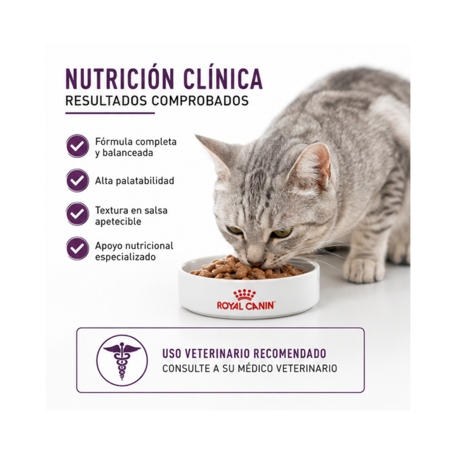 Royal Canin Feline Sensory Smell - Sobre 85 Gr-3