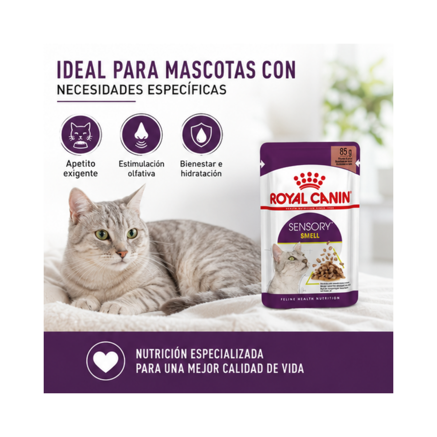 Royal Canin Feline Sensory Smell - Sobre 85 Gr-4