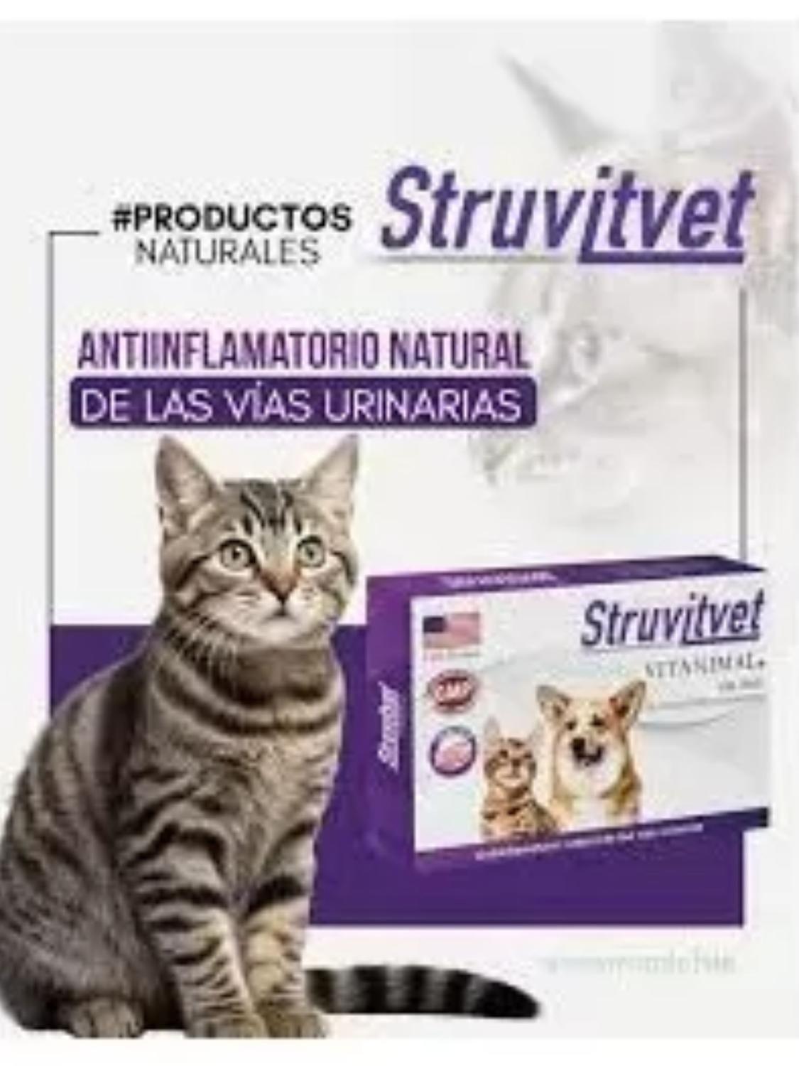 STRUVITVET ANTIINFLAMATORIO VIAS URINARIAS - 30 COMPRIMIDOS-3