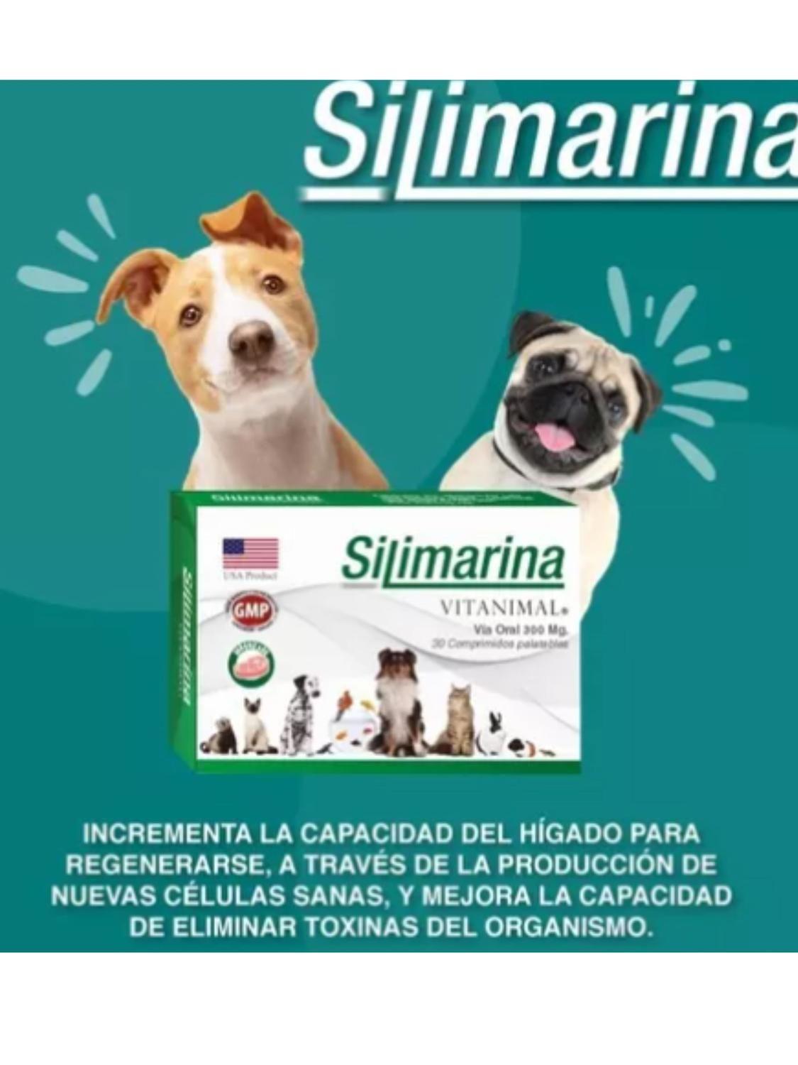 Silimarina 30 Comprimidos Suplemento Hepático Mascotas-3
