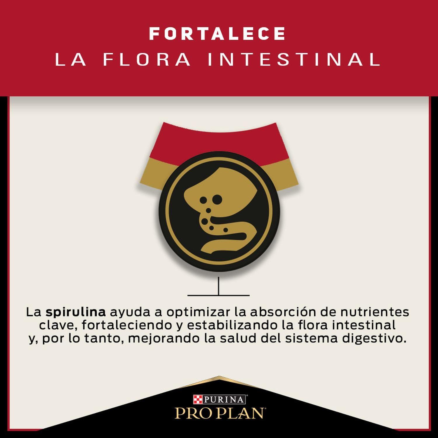 Pro Plan Adult Optihealth Raza Mediana Perro 12 Kg-6