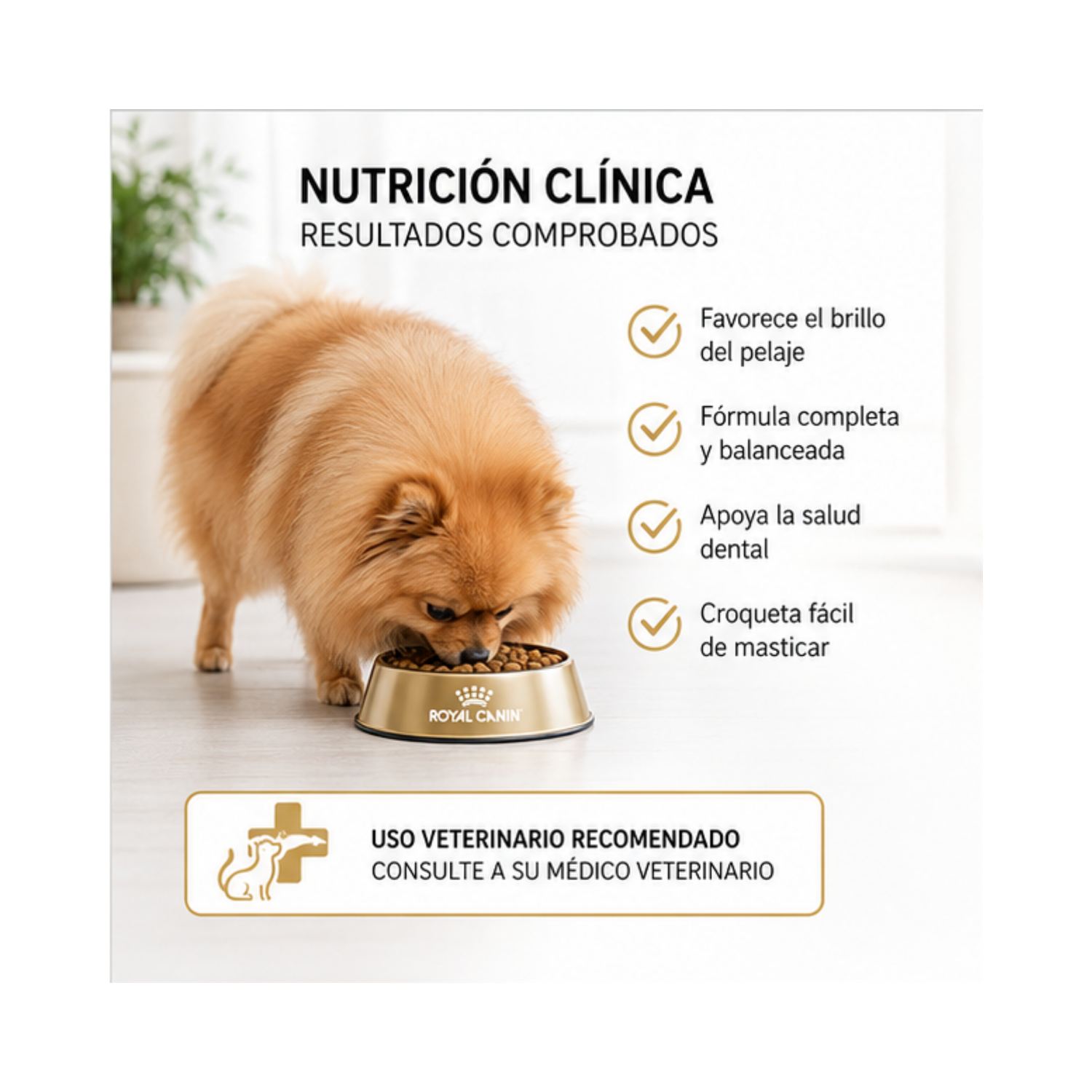 Royal Canin Pomeranian Adulto 1.5 kg-3