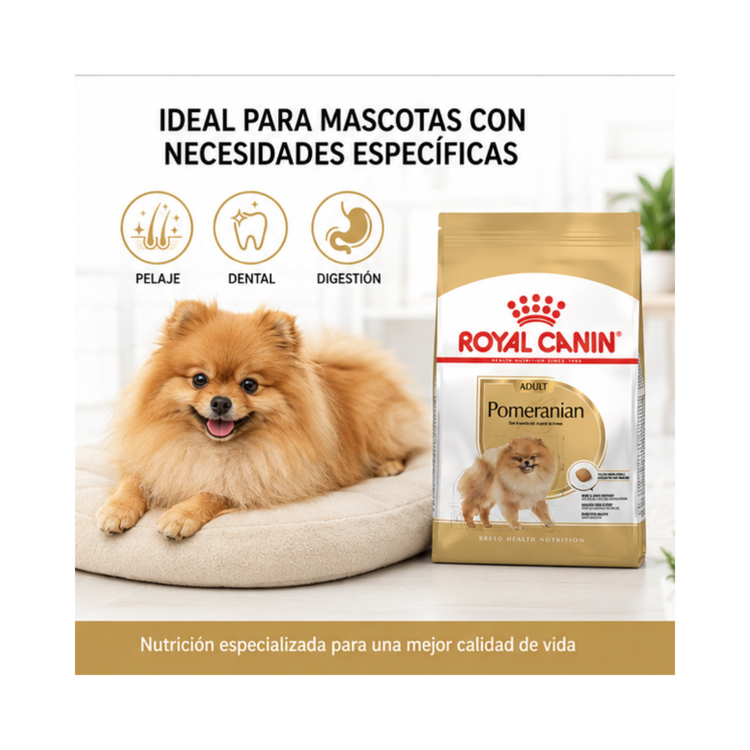 Royal Canin Pomeranian Adulto 1.5 kg-4