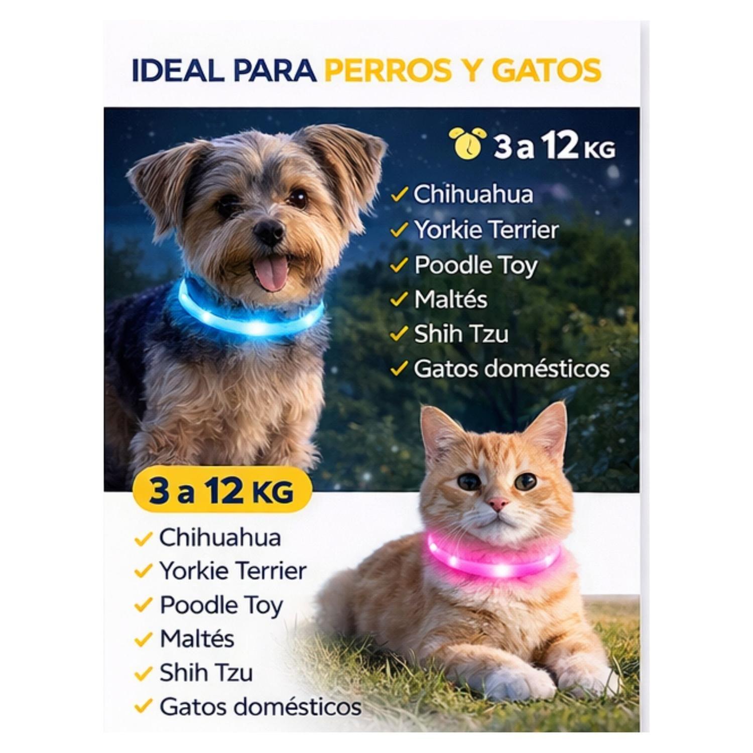 Collar LED Perro USB Recargable 39 cm 3-12 kg-5