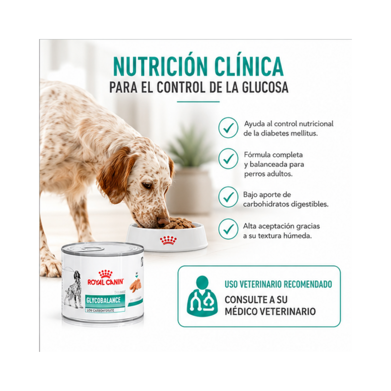 Royal Canin Glycobalance Lata Perro Diabético 195g - pack 6 unidades-2