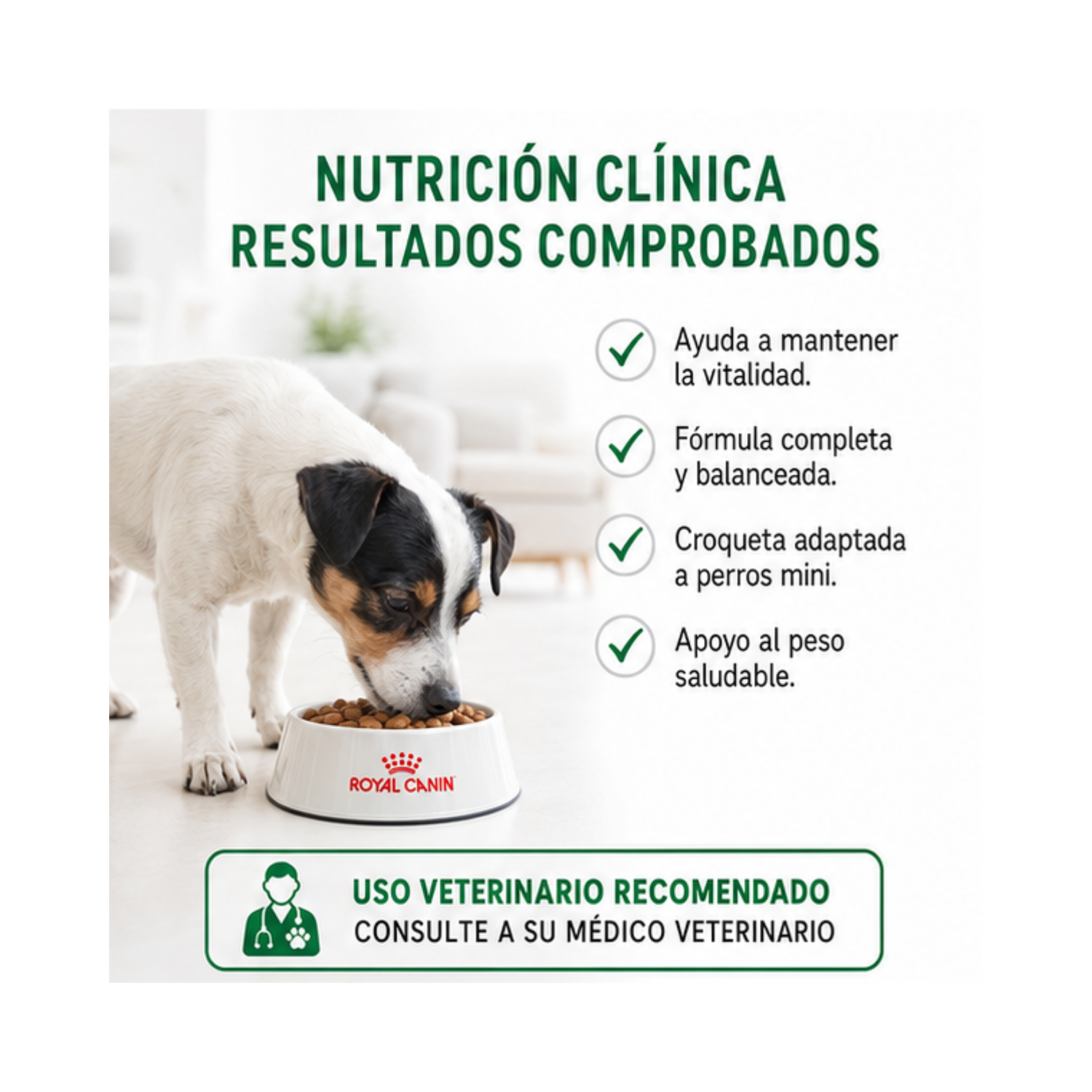 Royal Canin Mini Adulto 8+ Saco 1 Kilo-2