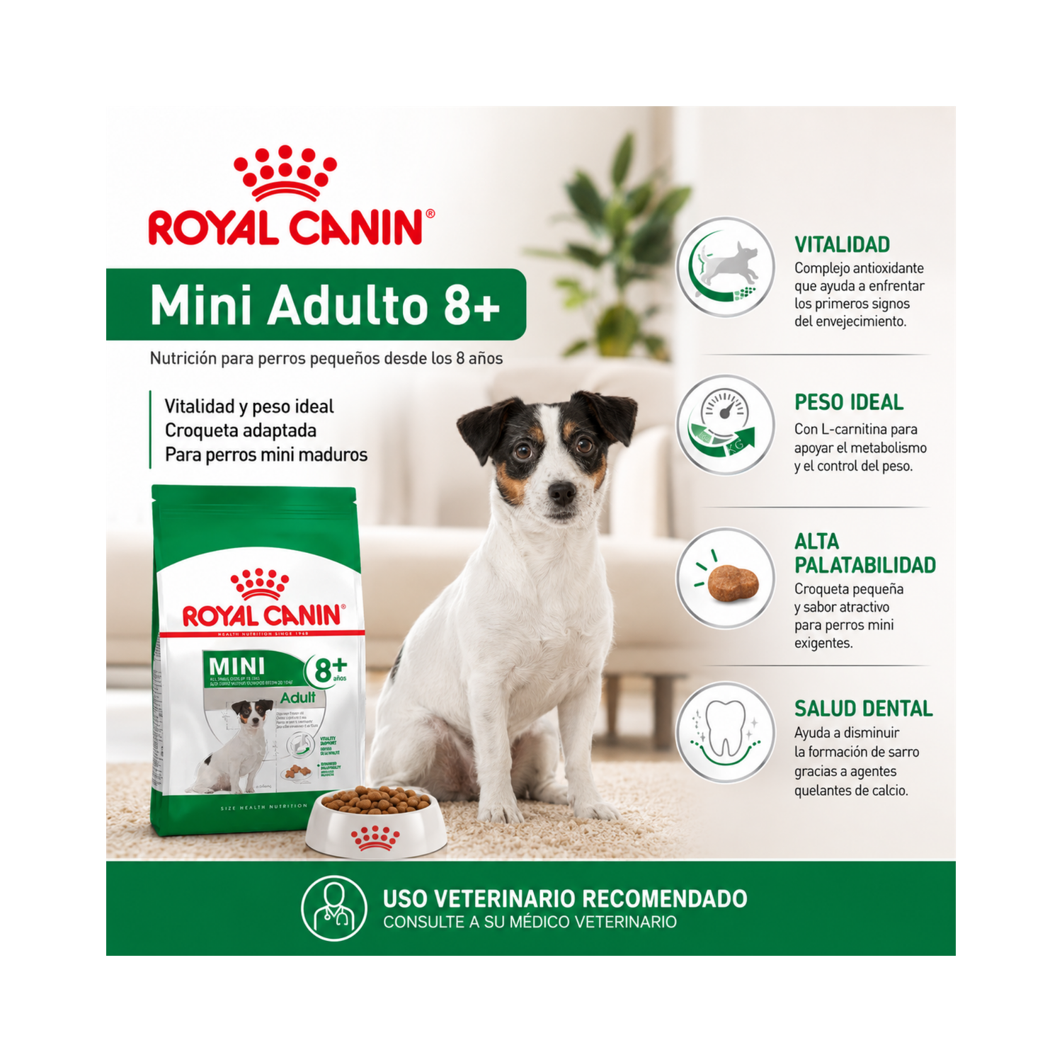 Royal Canin Mini Adulto 8+ Saco 1 Kilo-4
