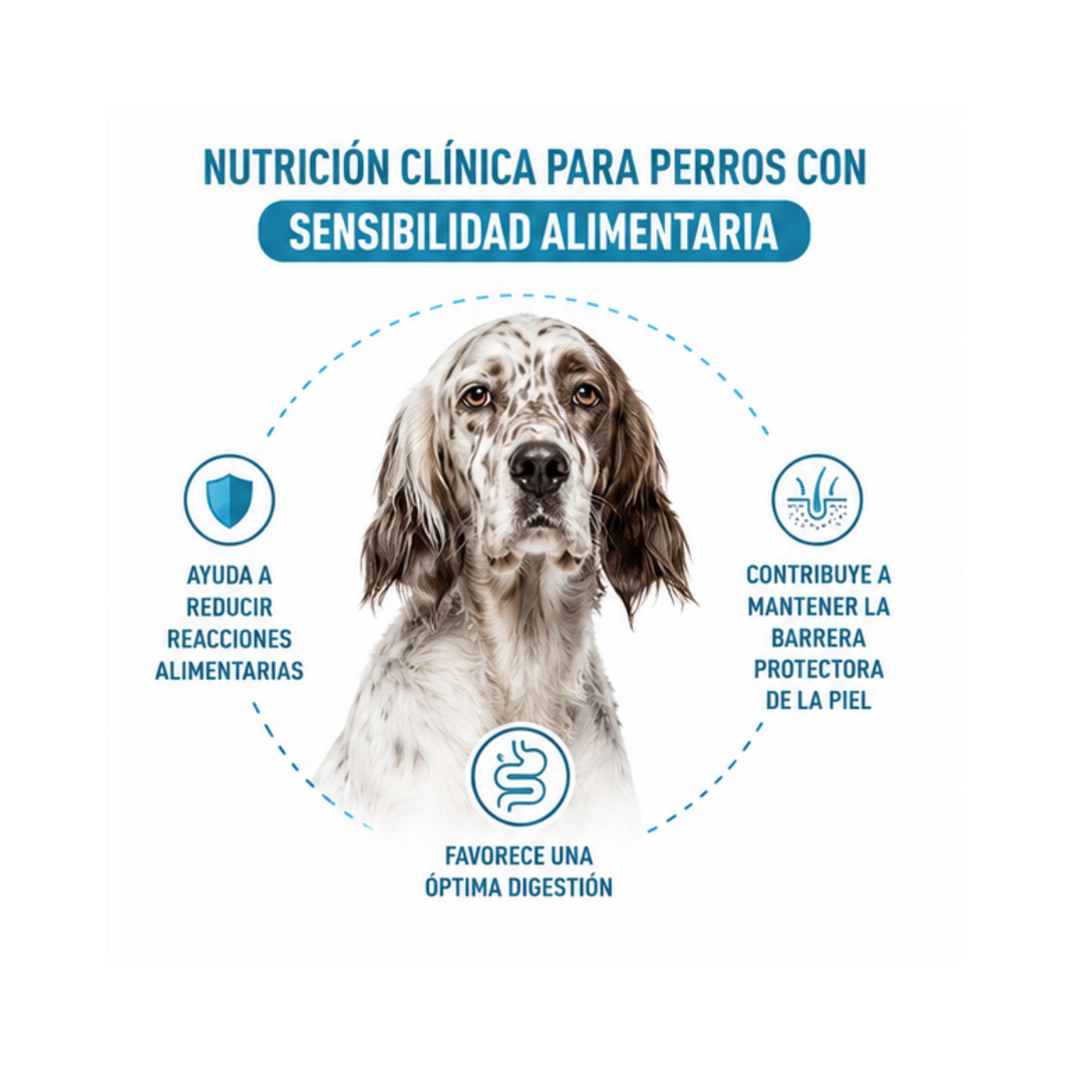 Royal Canin Health Nutrition Anallergenic 3kg-3
