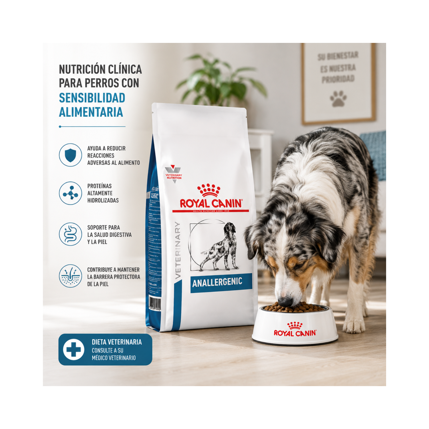 Royal Canin Health Nutrition Anallergenic 3kg-5