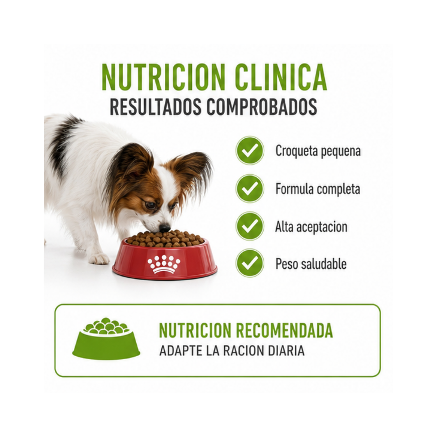Royal Canin X-small Adulto 1 kg-2