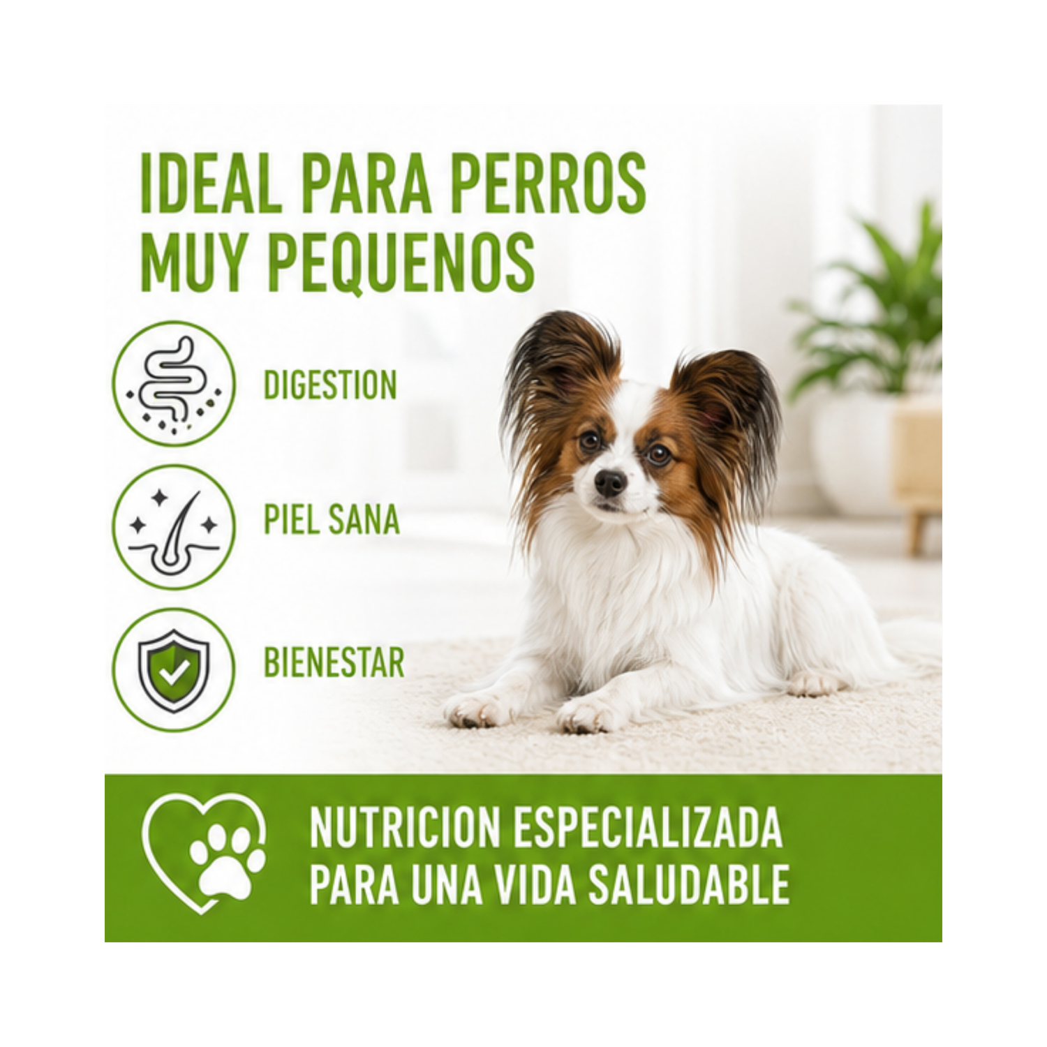 Royal Canin X-small Adulto 1 kg-3