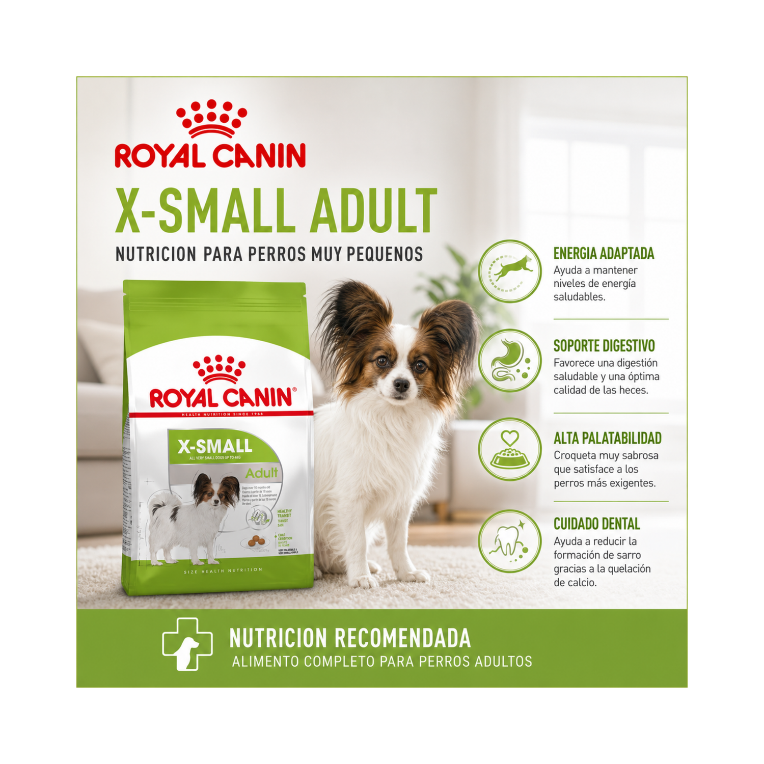 Royal Canin X-small Adulto 1 kg-4